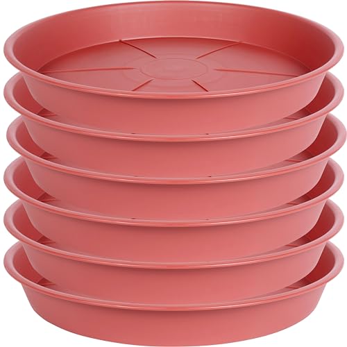 Clay