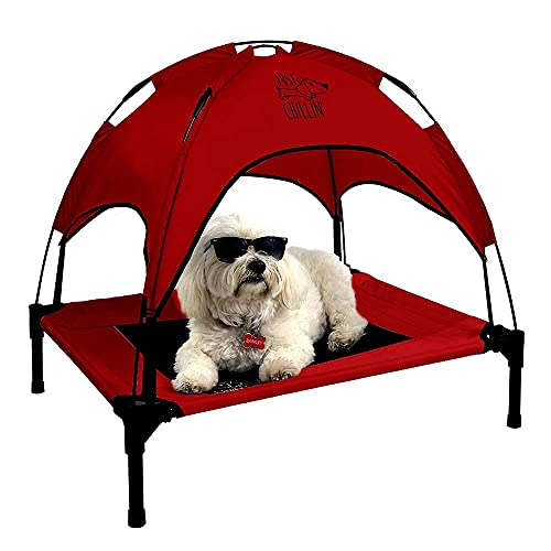 Medium Red
