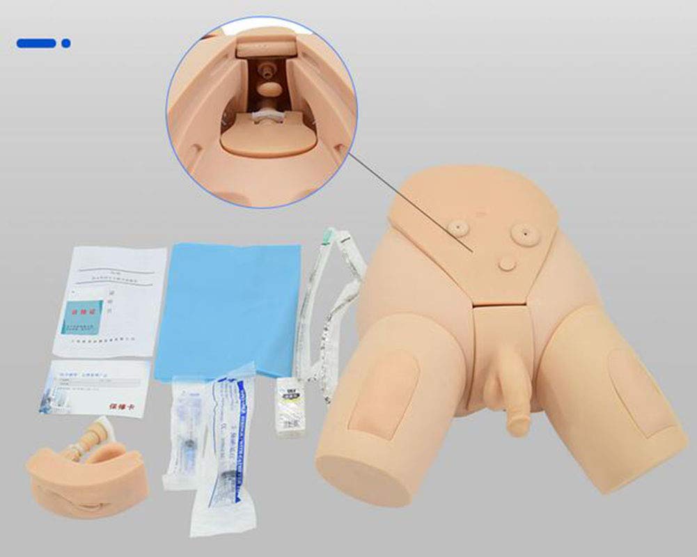 GHDE&MD H17EF Male and Female Urethral Catheterization Simulator Kit - Medical Training Model for Nursing Students & Healthcare Professionals - Practice Urinary Catheter Insertion Techniques for Clinical Skills Development