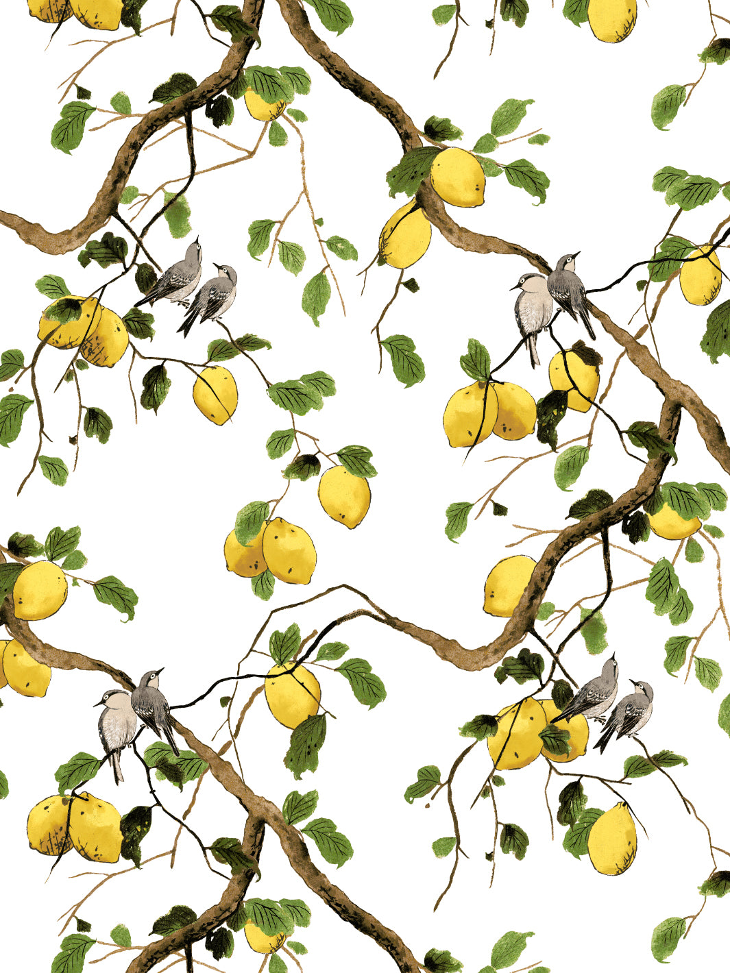 Lemon Birds Wallpaper by Nathan Turner - Premium White Peel & Stick Wallpaper for Bedroom, Nursery, and Home Decor