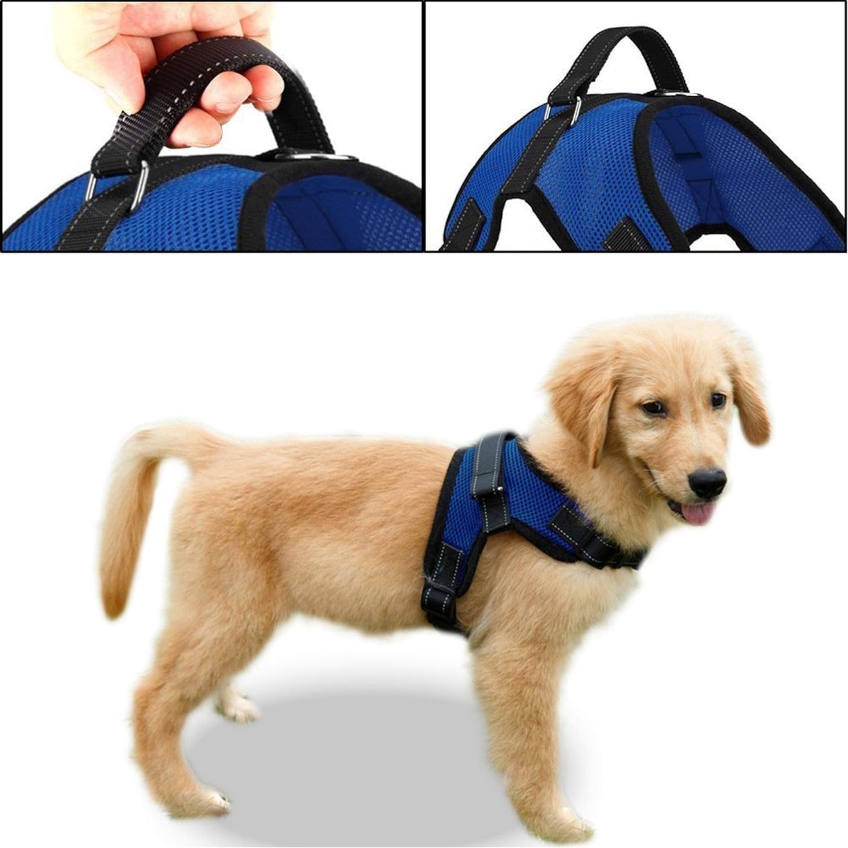 No Pull Reflective Adjustable Dog Harness with Handle - Comfortable Soft All-Weather Mesh Vest for Small Medium Large Dogs - Easy On Puppy Harness for Walking Running Hiking Training (Blue, X-Small)