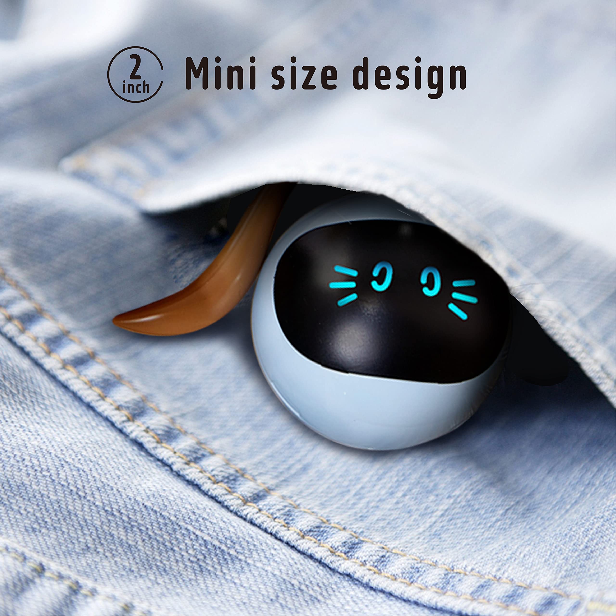 Interactive Cat Toys with 360° Self-Rolling Ball & USB Charging - Hunting Exercise Toys for Kittens, Puppies & Small Dogs - Indoor Play Teaser Wand for Active Pets (Blue) - Perfect for Playtime, Training & Bonding