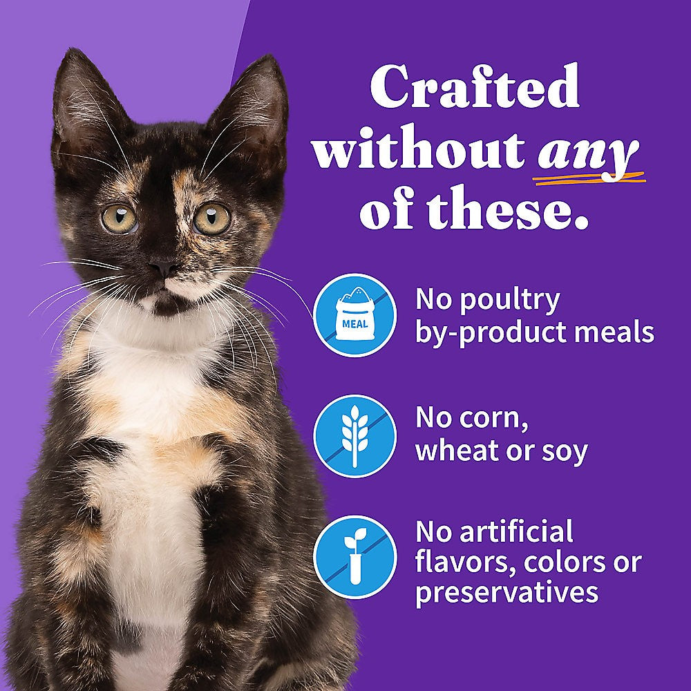 Grain Free Kitten Food - Whitefish Pate Wet Cat Food for Kittens - High Protein, Natural Ingredients - Perfect for Weaning, Digestive Health & Picky Eaters
