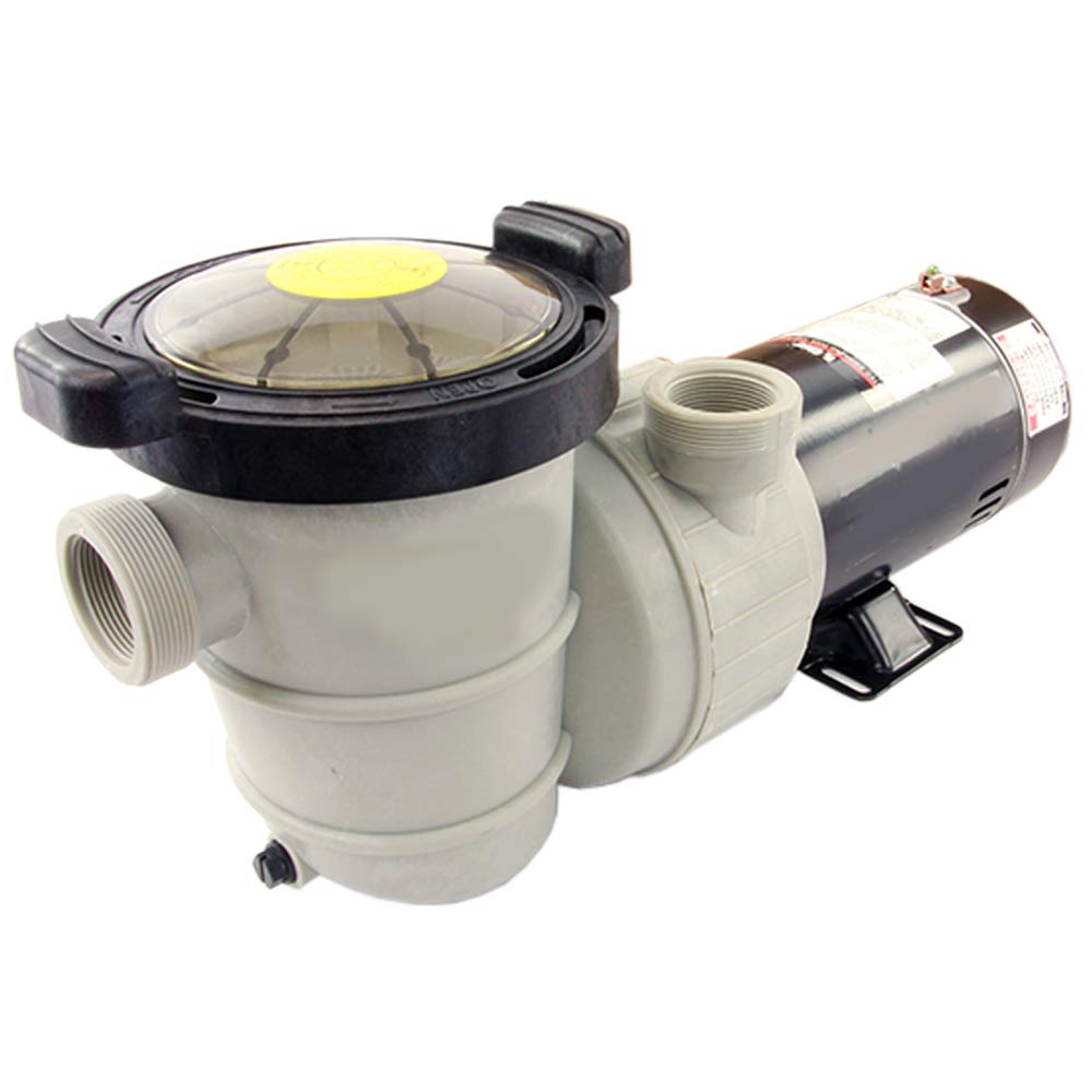 Rx Clear Dorado 1-1/2 HP Dual Port Above Ground Pool Pump | 115V 9 Amps Energy Efficient Swimming Pool Pump with See-Through Strainer Cover | Low Maintenance | Perfect for Backyard, Inground & Above Ground Pools