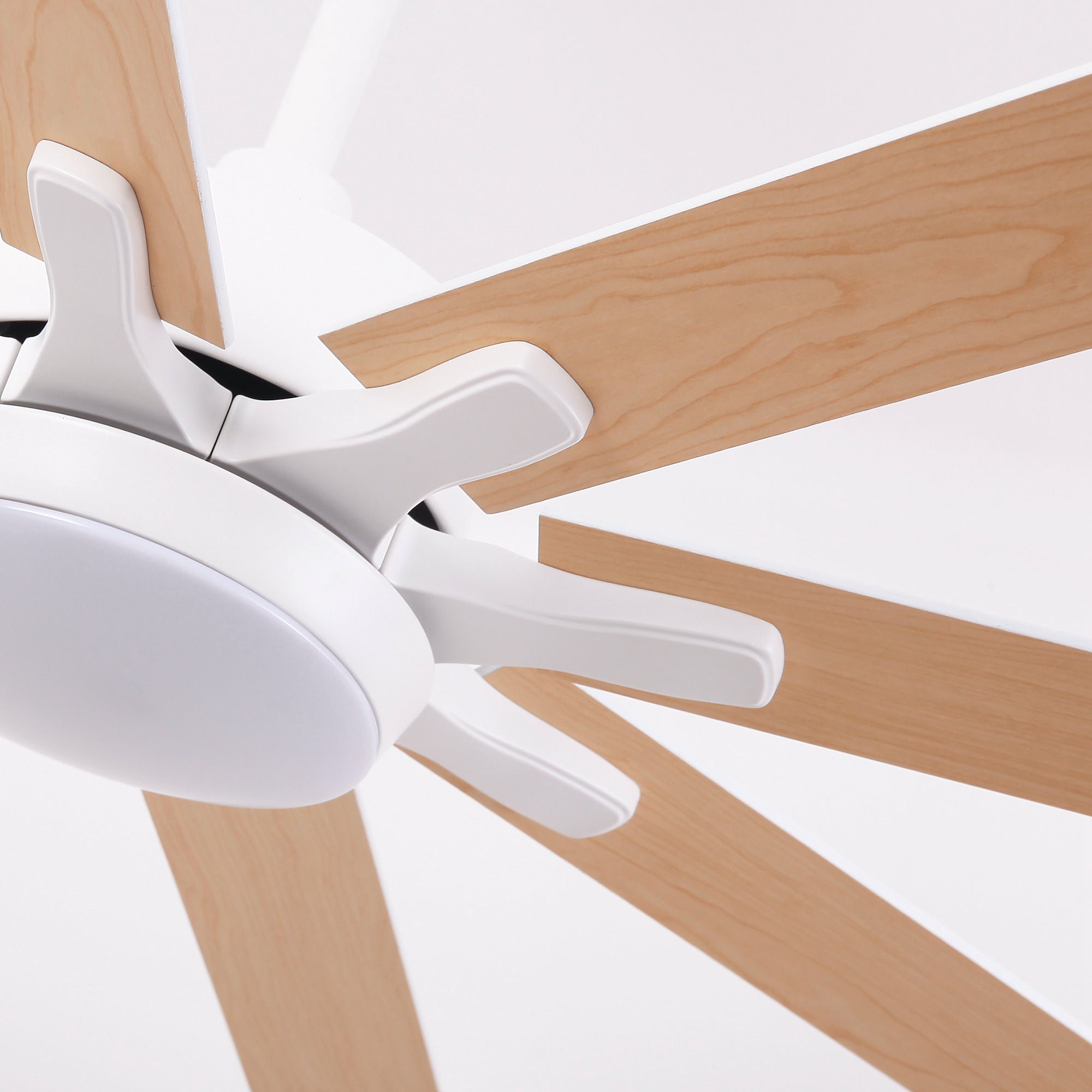 65 Inch Teresa Modern Double Sided Blades Ceiling Fan with Remote Control & LED Light - Perfect for Living Room, Bedroom and Outdoor Patio Cooling