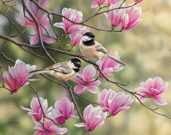 Chickadees and Magnolias Signed Art Print - Handmade Wall Decor for Living Room, Bedroom & Office