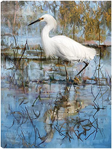 White Egret