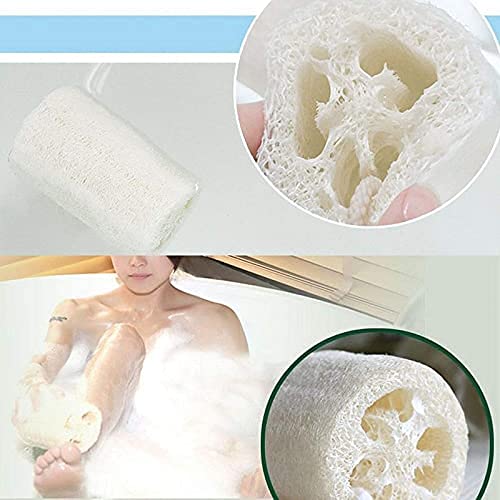Organic Loofah Body Scrubber Pack of 12 - Natural Exfoliating Sponge for Men & Women - Eco-Friendly Luffa Bath Sponge for Smooth Skin - Perfect for Shower, Spa & Daily Skincare Routine