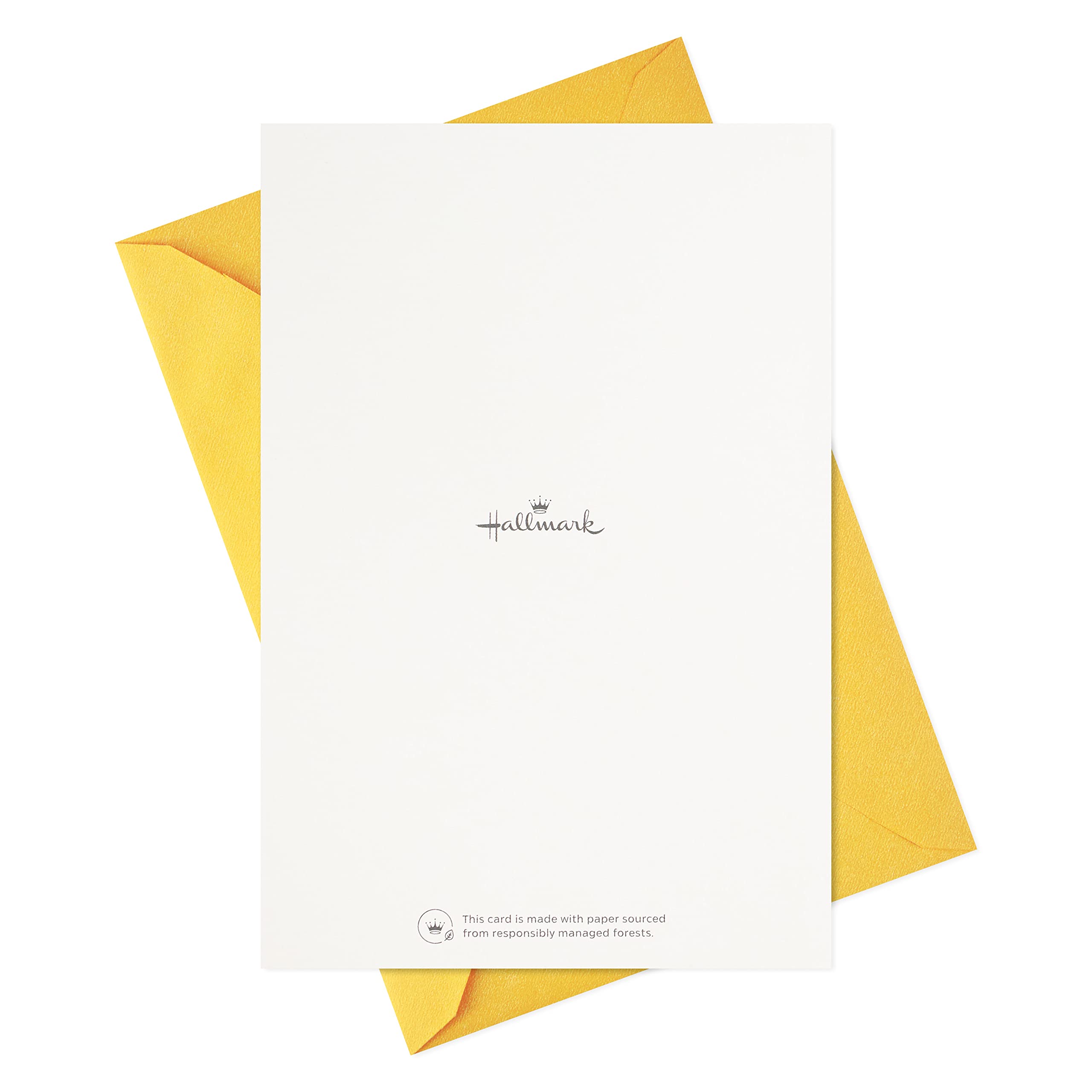 Hallmark Birthday Cards Assortment - 16 Premium Greeting Cards with Envelopes for Women, Men & Kids | Classic Celebrate Design | Perfect for Parties, Gifts & Special Occasions