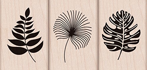 Tropical Leaves