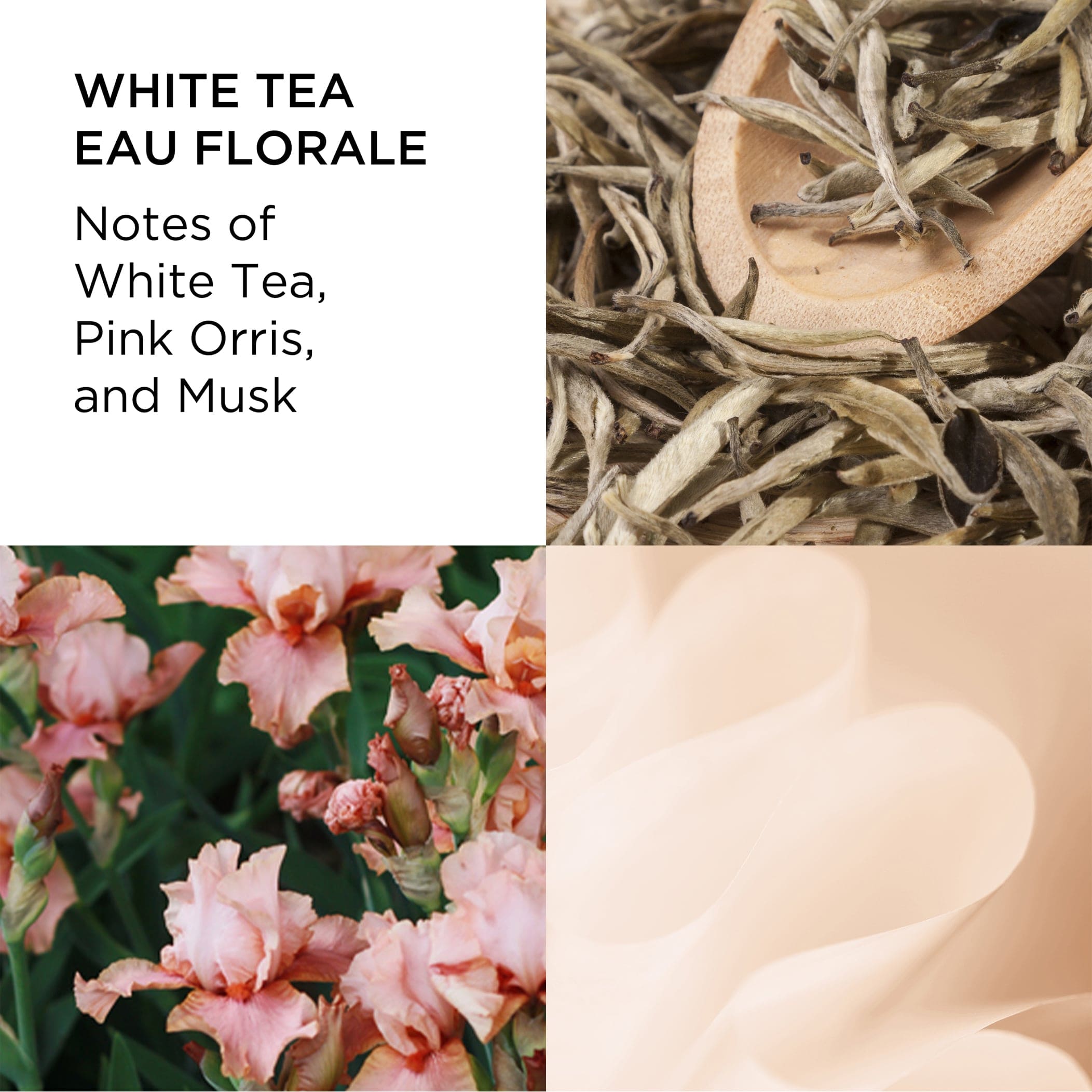 White Tea Eau Florale Eau de Toilette for Women - Fresh Floral Fragrance | Light & Elegant Perfume for Daily Wear, Office & Special Occasions