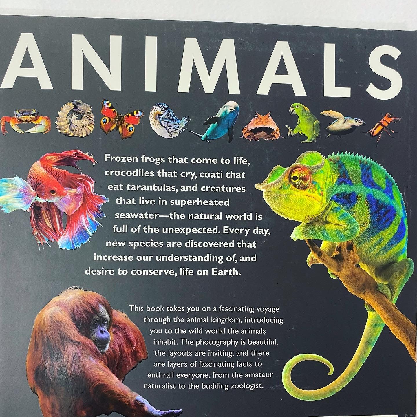 Animals: Witness Life in the Wild - 100+ Species Encyclopedia | Wildlife Photography, Nature Documentaries & Educational Resources