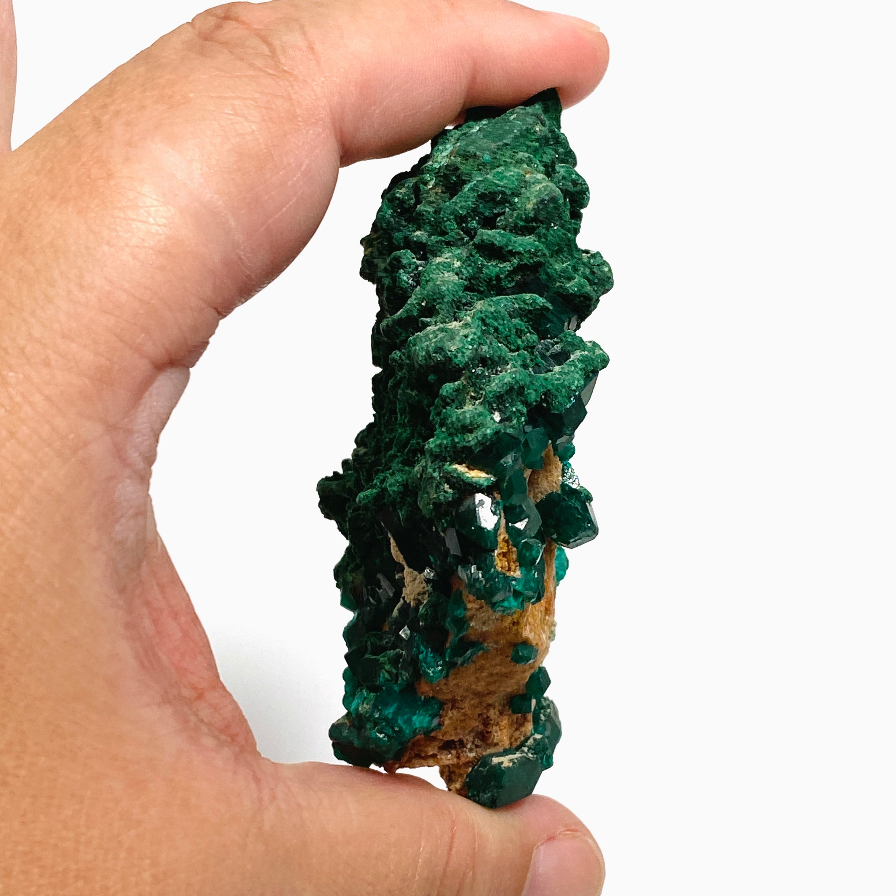 Natural Dioptase and Malachite Crystal Specimen from Congo - CR3745 | Mineral Collection, Healing Crystals, Geology Display, Home Decor