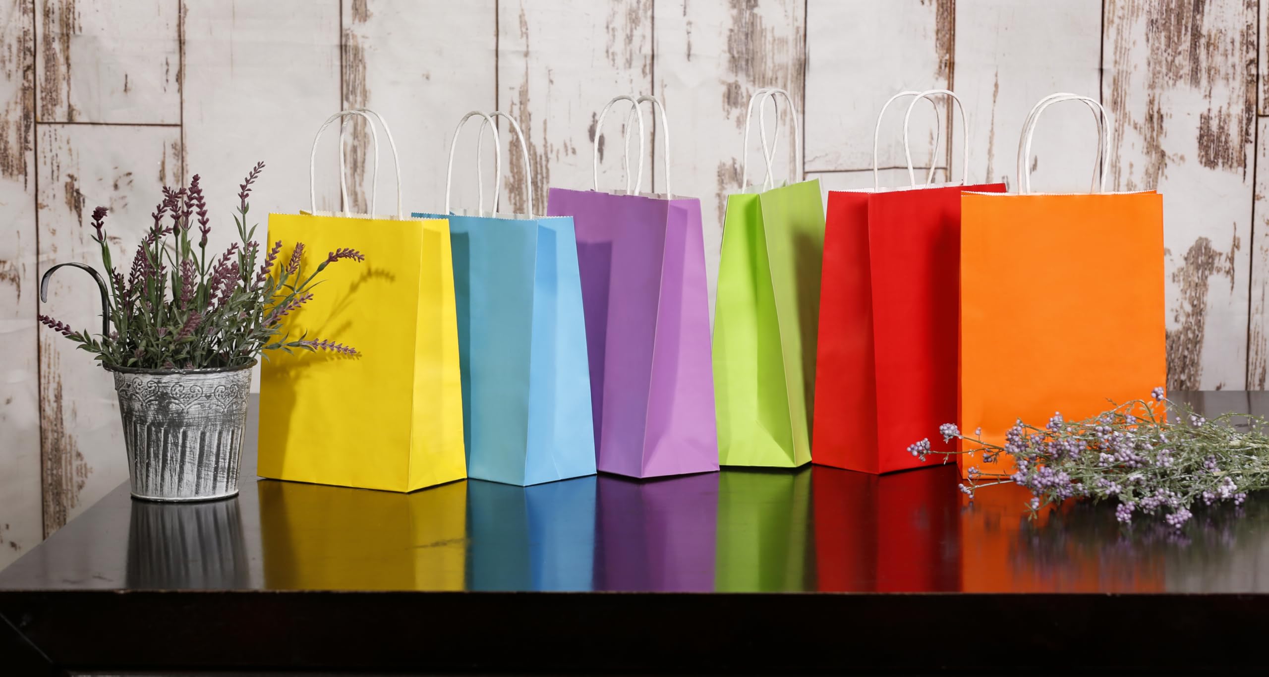 12 Small Plain Color Gift Bags with Handles 9x6x3in - Rainbow for Party Favors