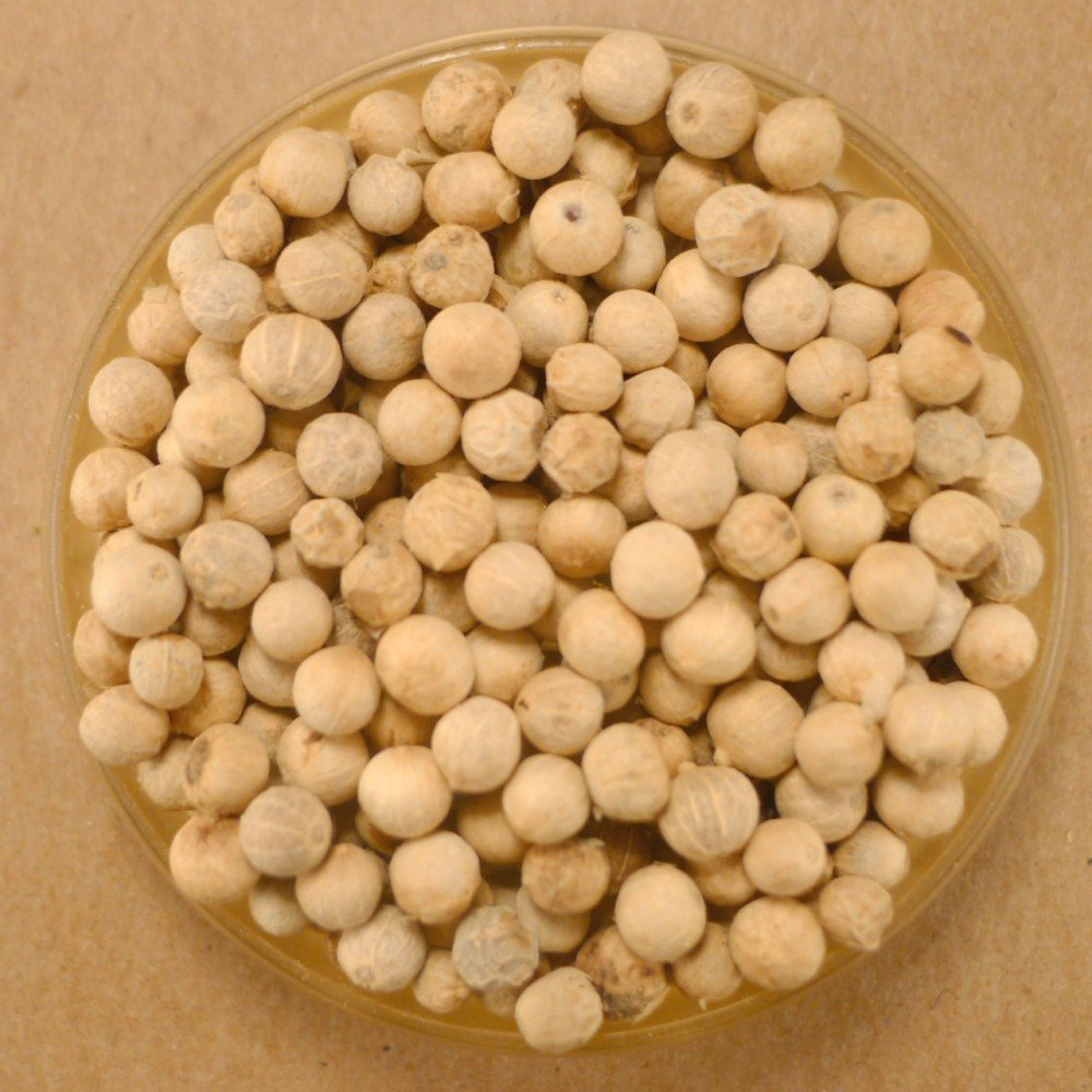Premium White Whole Peppercorns - 10 lbs Bulk Bag | Organic & Non-GMO | Perfect for Grinding, Cooking & Seasoning | Ideal for Restaurants, Home Chefs & Food Businesses