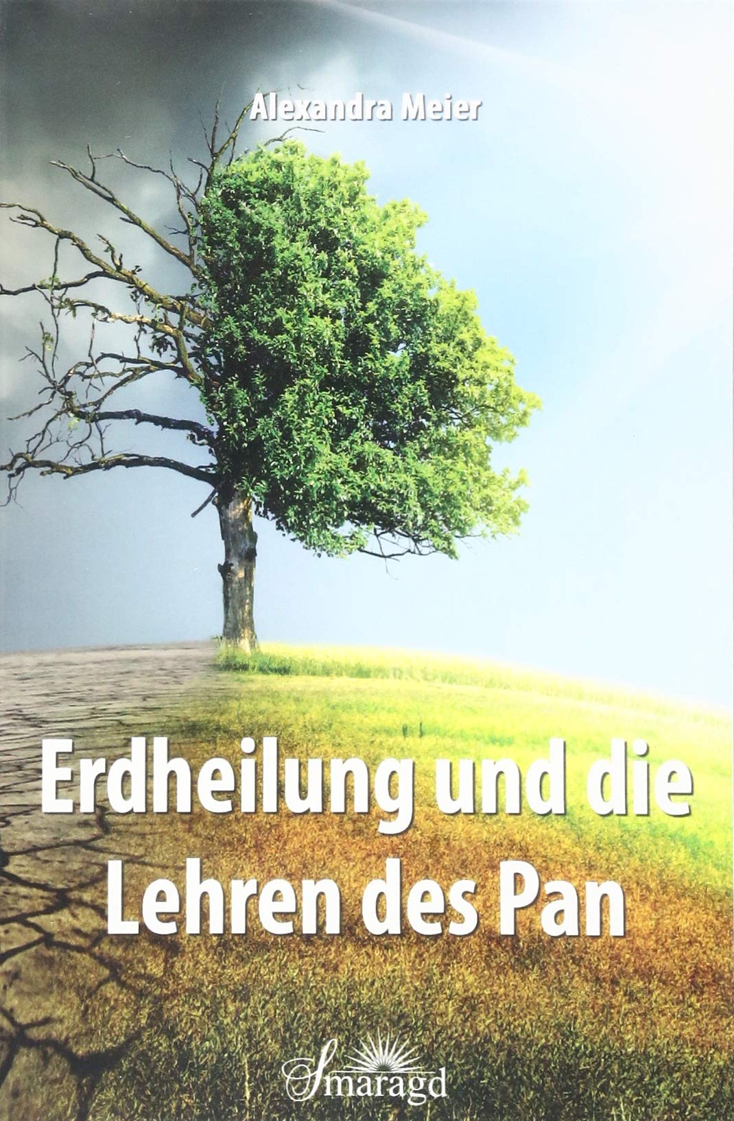 Pan's Healing Teachings & Earth Spirituality Guide | Spiritual Growth, Nature Connection & Wellness Practices for Modern Life