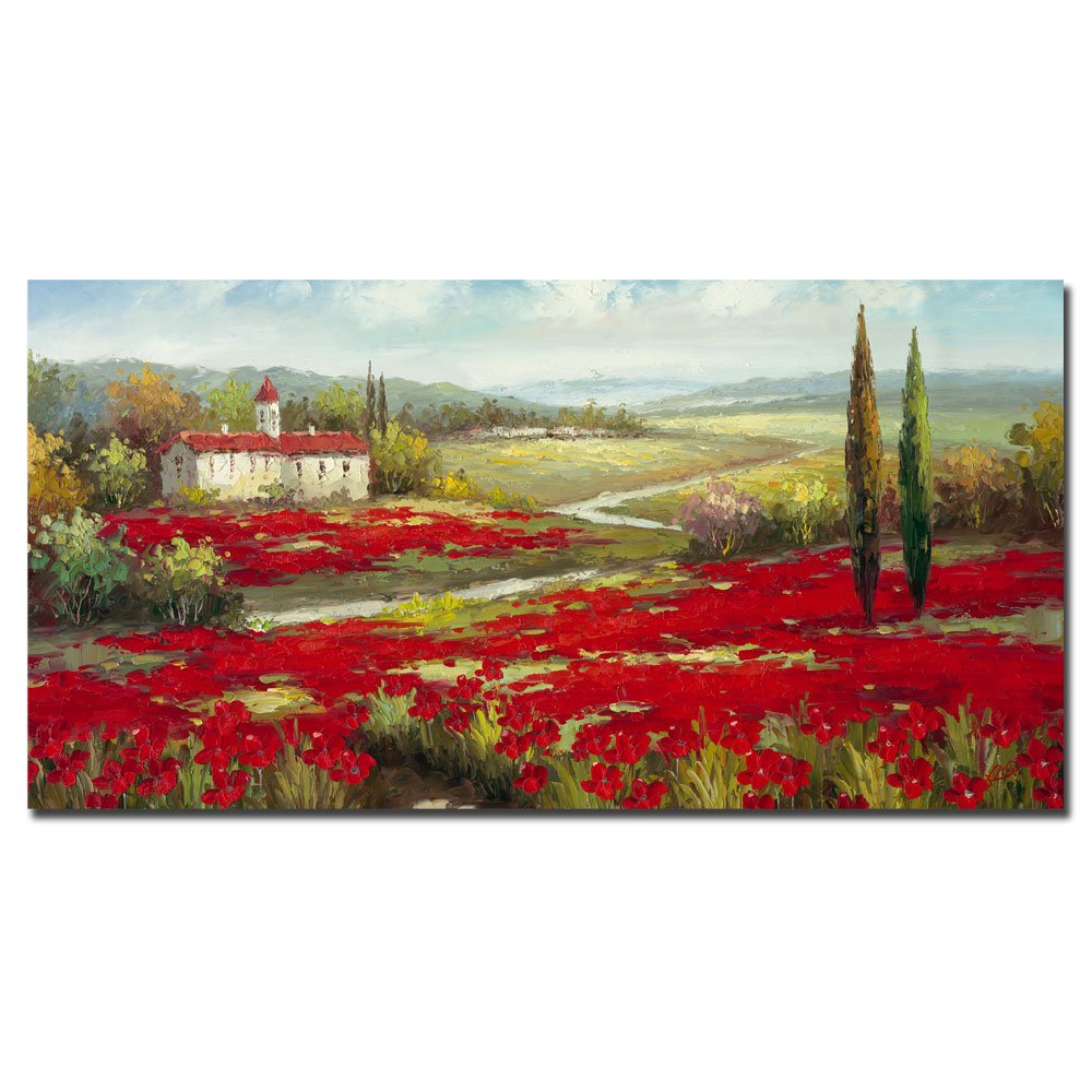 Rio Trademark Art Field of Poppies Canvas Wall Art - 16x32 Inch Floral Painting for Living Room, Bedroom & Office Decor