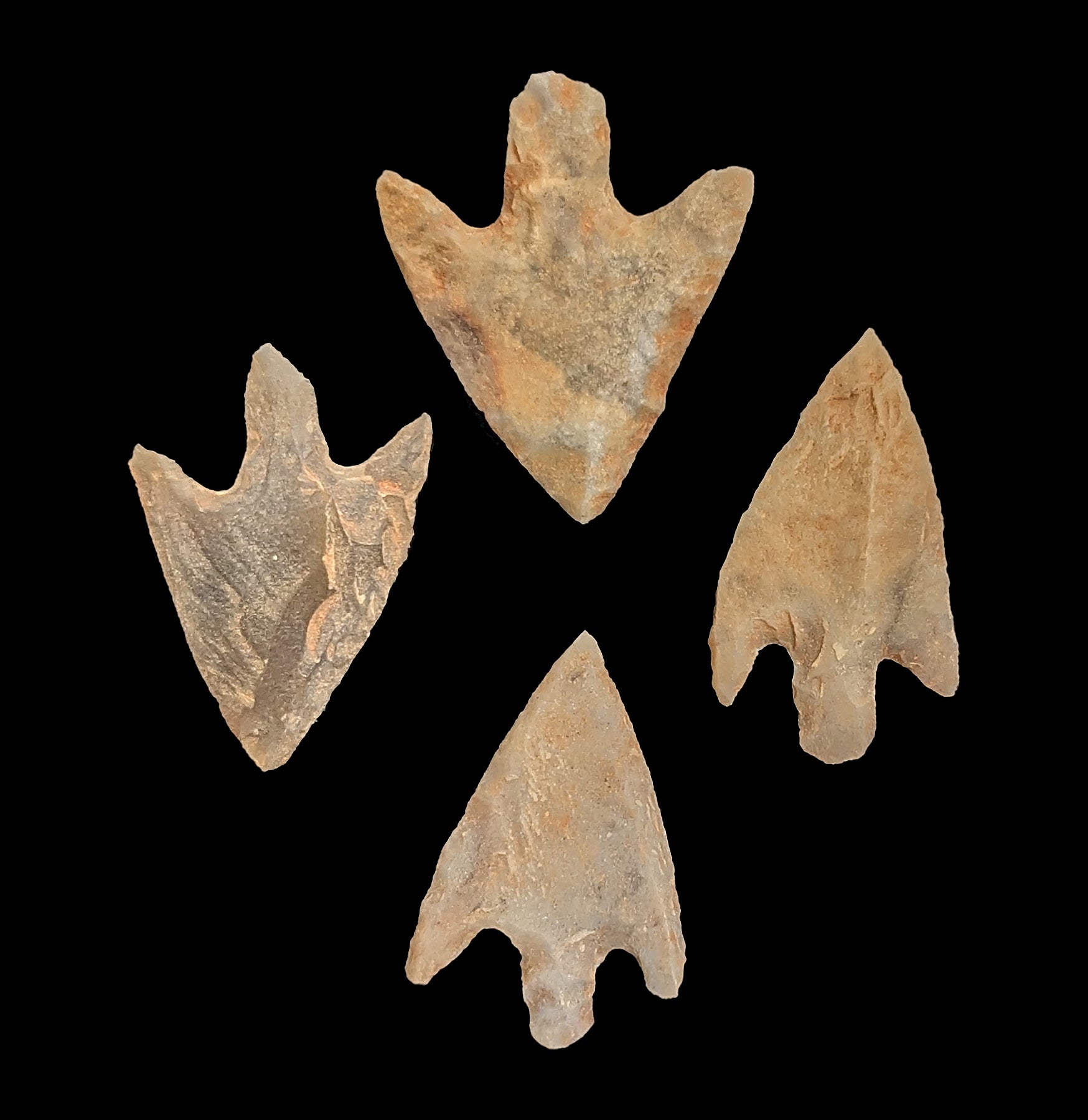 Neolithic Bird Points - Authentic Stone Age Arrowheads for Collectors & Archaeology Enthusiasts | Perfect for Historical Reenactments, Museum Displays & Ancient Weapon Collections