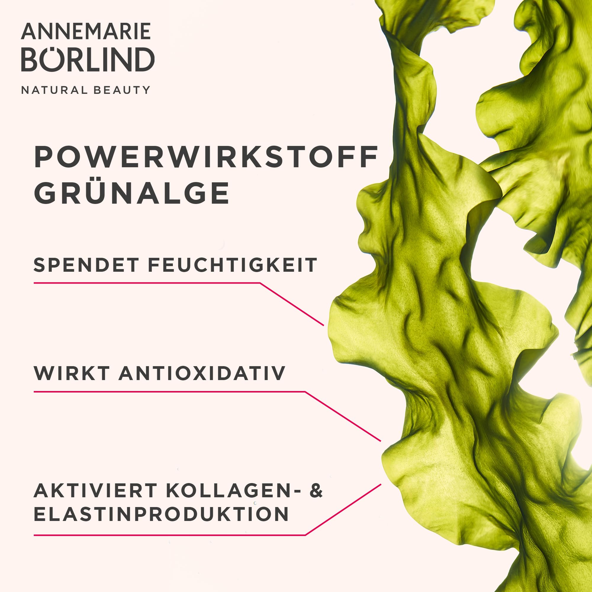 Annemarie Borlind System Absolute Anti-Aging Cleansing Lotion 120ml - Gentle Face Wash for Mature Skin, Wrinkle Reduction & Hydration | Perfect for Daily Skincare Routine & Nighttime Regimen