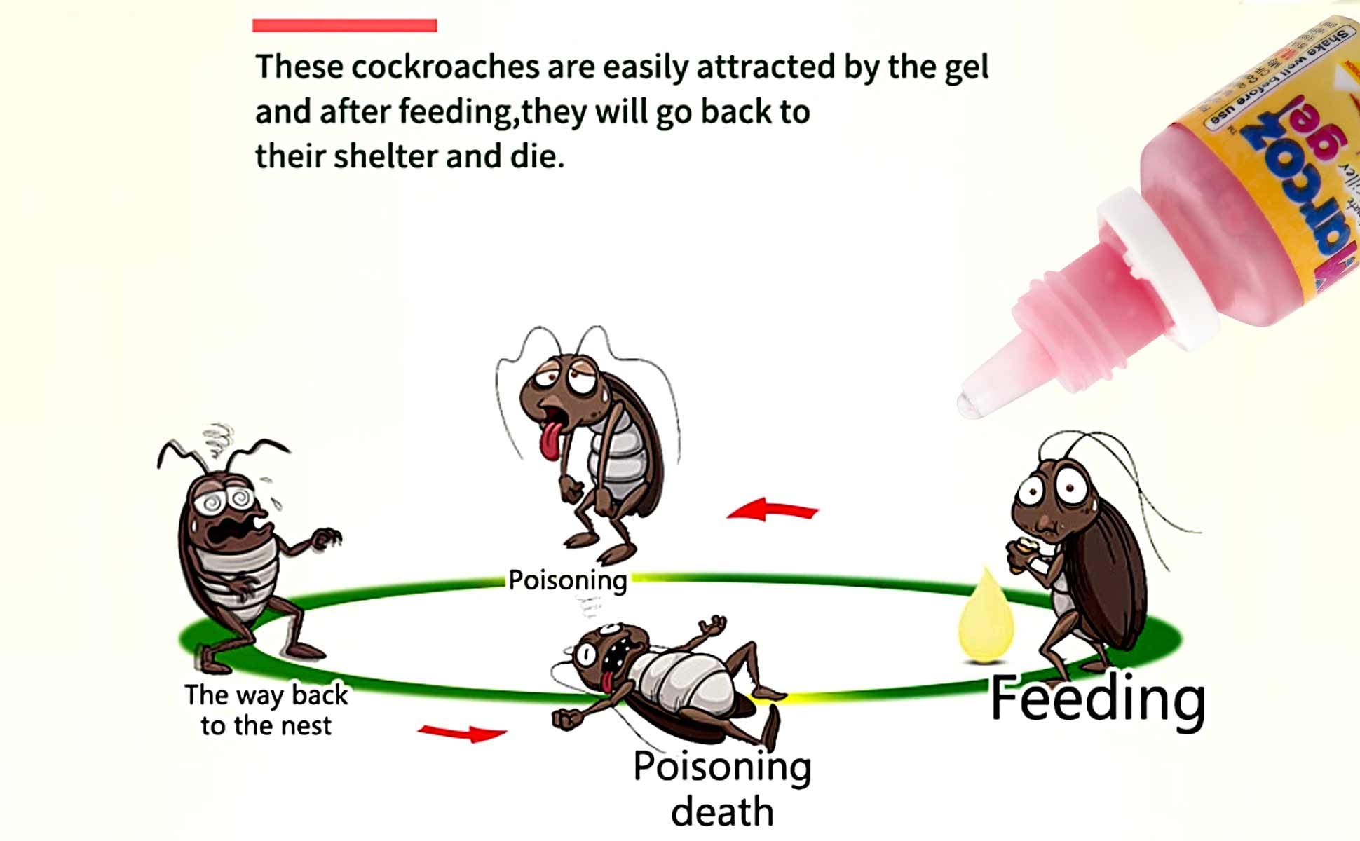 Marcoz Gel Ultimate Cockroach Killer - Powerful Roach Bait (2X20G, Pink) - Guaranteed Fast Elimination - Ideal for Kitchen, Bathroom & Home Pest Control - Pack of 2