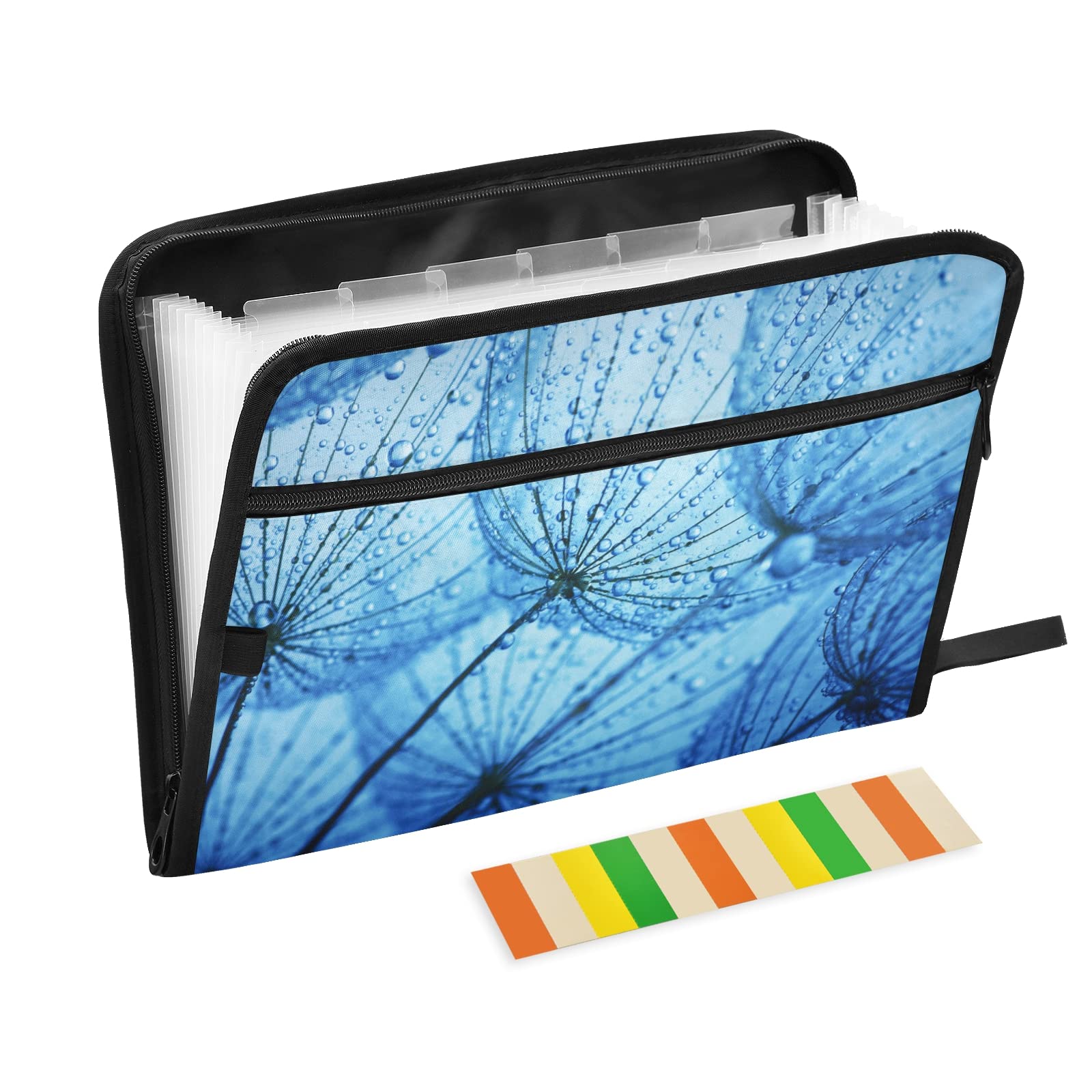 KFBE Blue Dandelion Expanding File Folder - 13 Pocket Accordion Organizer with Sticky Labels | Letter & A4 Size | Zipper Closure Document Holder | Perfect for Office, School & Home Organization (20811512)