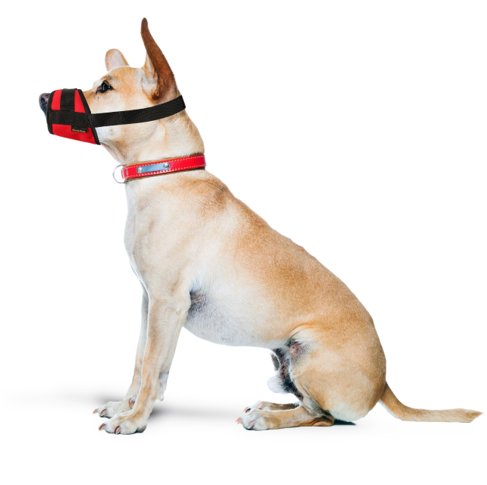 Adjustable Dog Muzzle for Small Medium Large Breeds - Secure Comfort Fit Pet Training & Grooming - Perfect for Vet Visits, Walks, and Behavioral Training