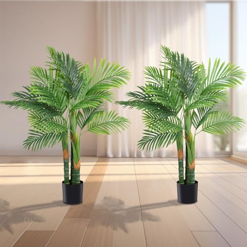 Palm