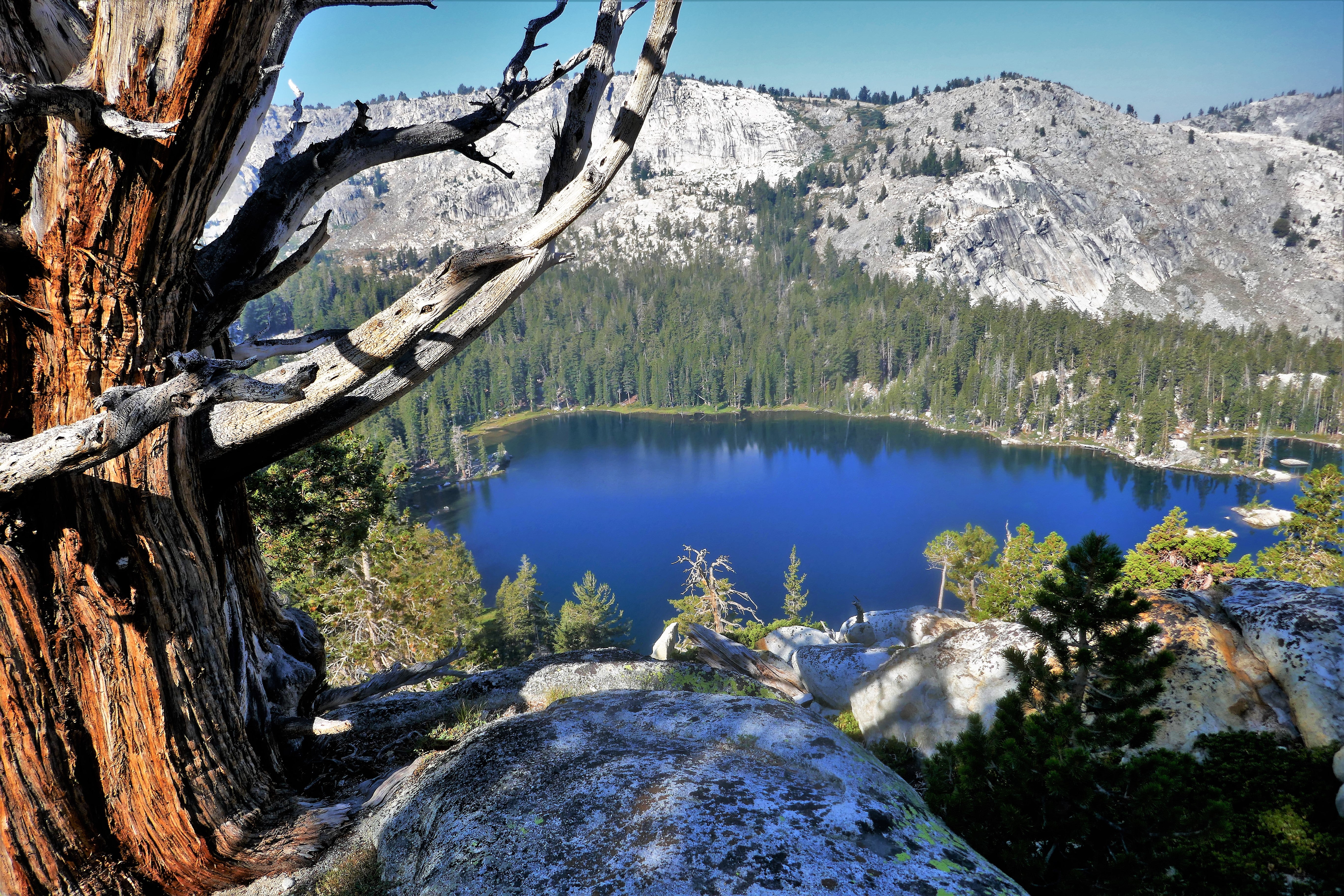 Best Backpacking Gear for Yosemite's Ten Lakes Trail - Lightweight Hiking Equipment for Outdoor Adventures | Perfect for Weekend Camping and Wilderness Exploration
