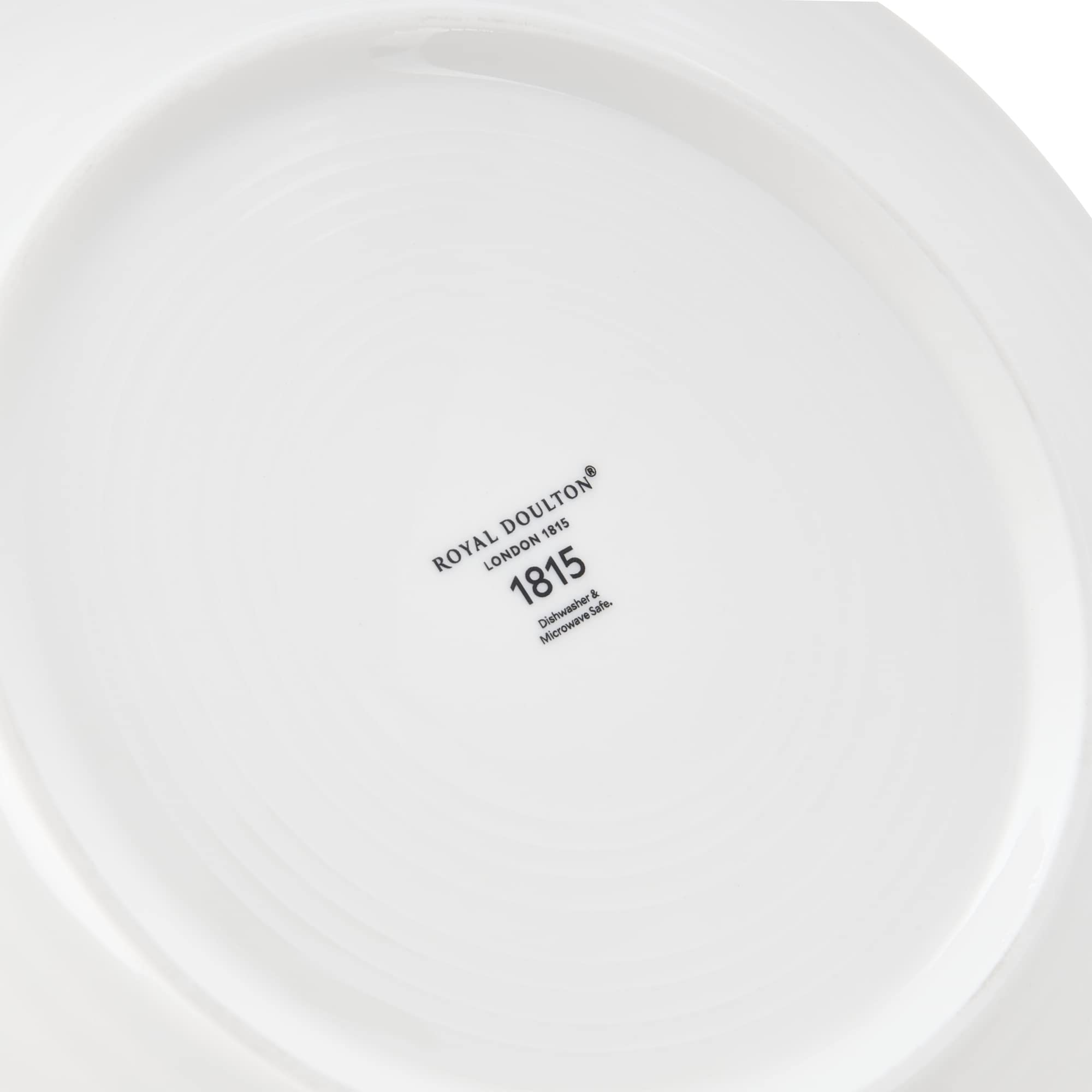 Royal Doulton Pacific Stone 9-Inch Salad Plates Set of 4 - Colorful Stoneware Dinnerware for Everyday Use & Entertaining - Perfect for Salads, Appetizers, Desserts & Casual Dining