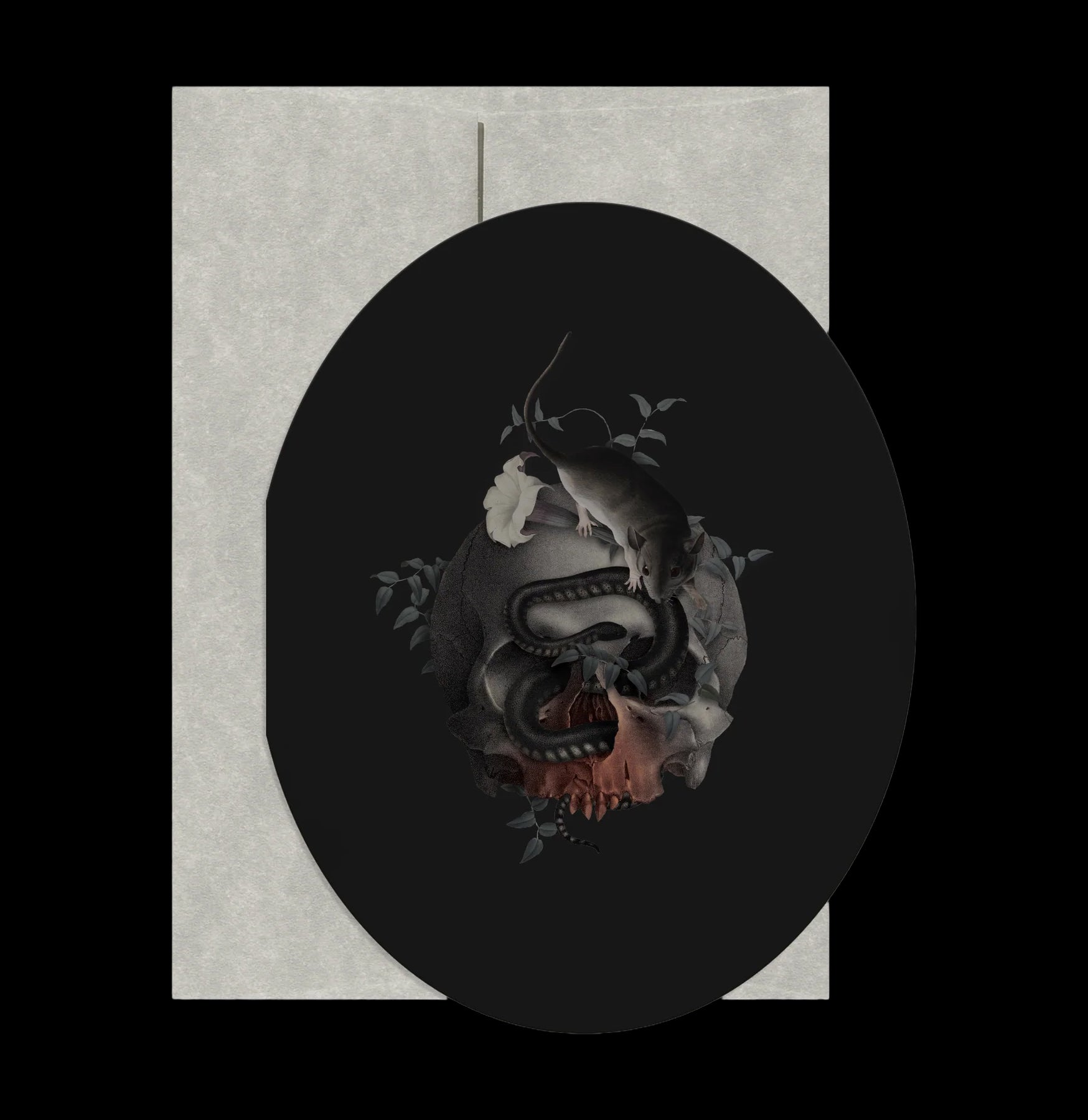 Halloween Skull Greeting Card - Spooky Nosferatu Vampire Design for Horror Fans | Perfect for Halloween Parties, Gothic Decor & Horror Movie Nights