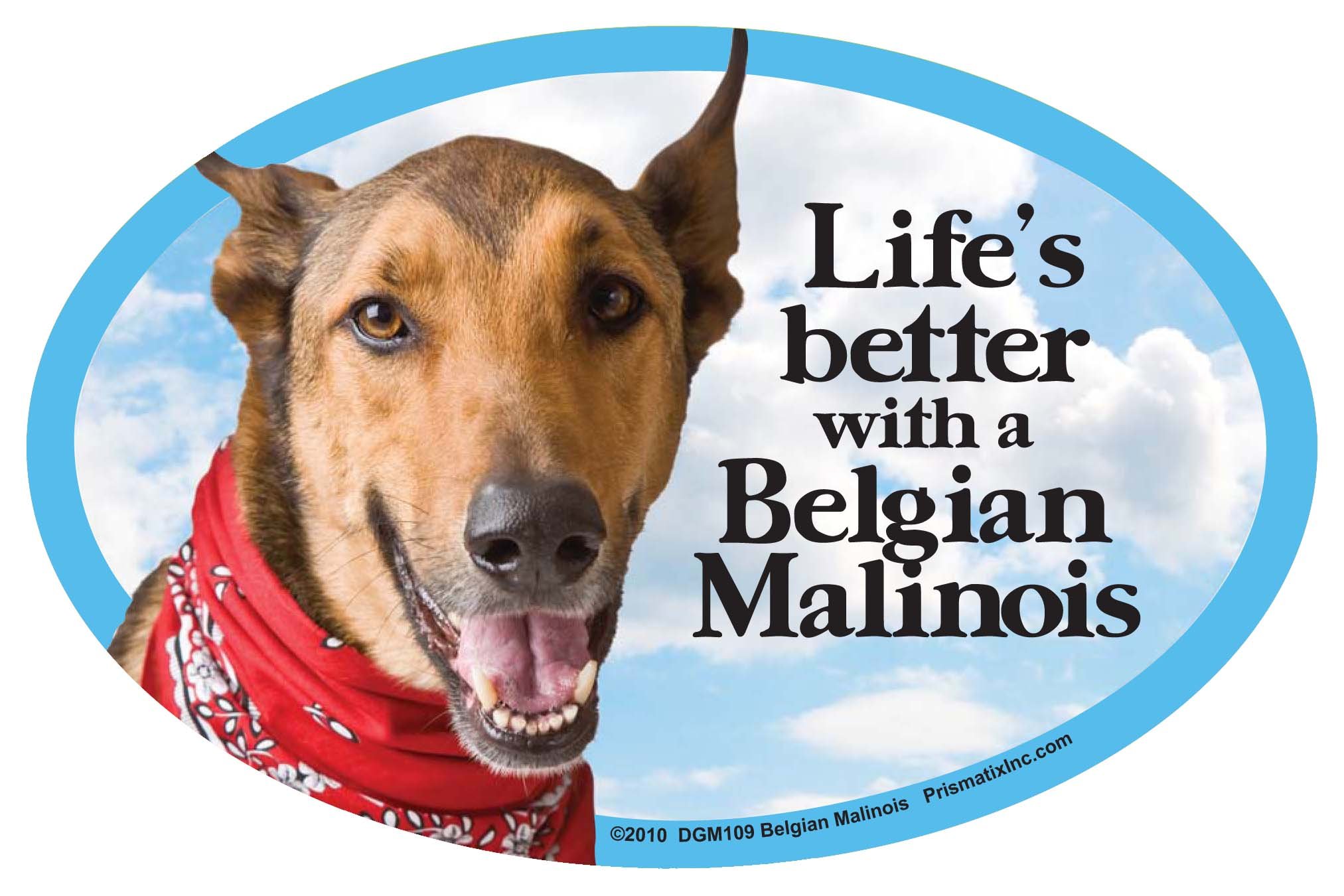 Prismatix Belgian Malinois Oval Car Magnet - Strong Adhesive Dog Lover Accessory for Vehicles, Trucks, Fridges | Perfect for Pet Owners, Animal Rescue Supporters & Police K9 Enthusiasts