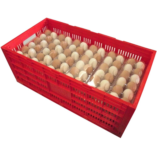 Rite Farm Products Chicken Egg Transport Crate - Durable Poultry Egg Carrier for Safe Transport - Perfect for Farmers, Backyard Chicken Keepers & Egg Delivery