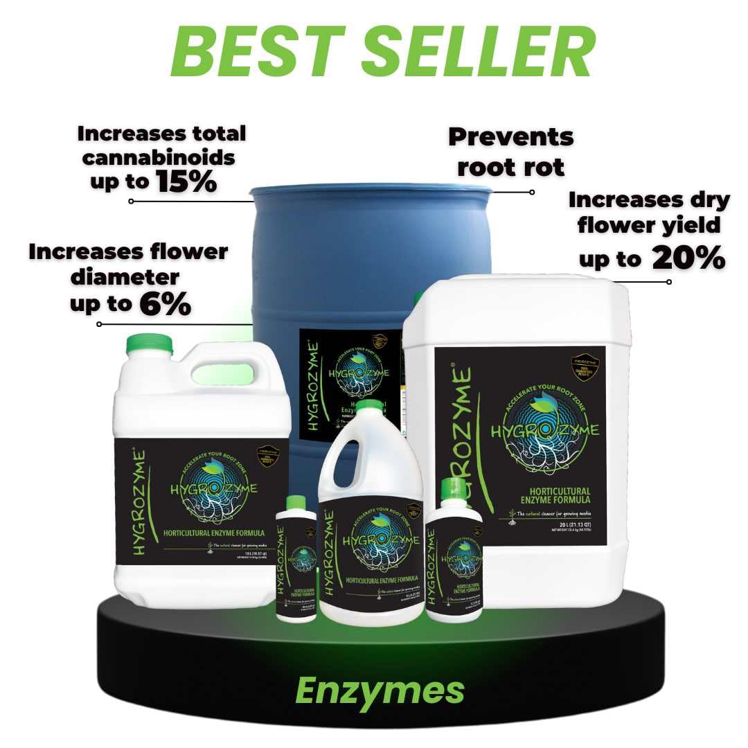 SIPHYGRO4L Enzyme Cleaning Solution - 4 Liter (4L) for Kitchen, Bathroom & Stain Removal | Eco-Friendly & Powerful Degreaser