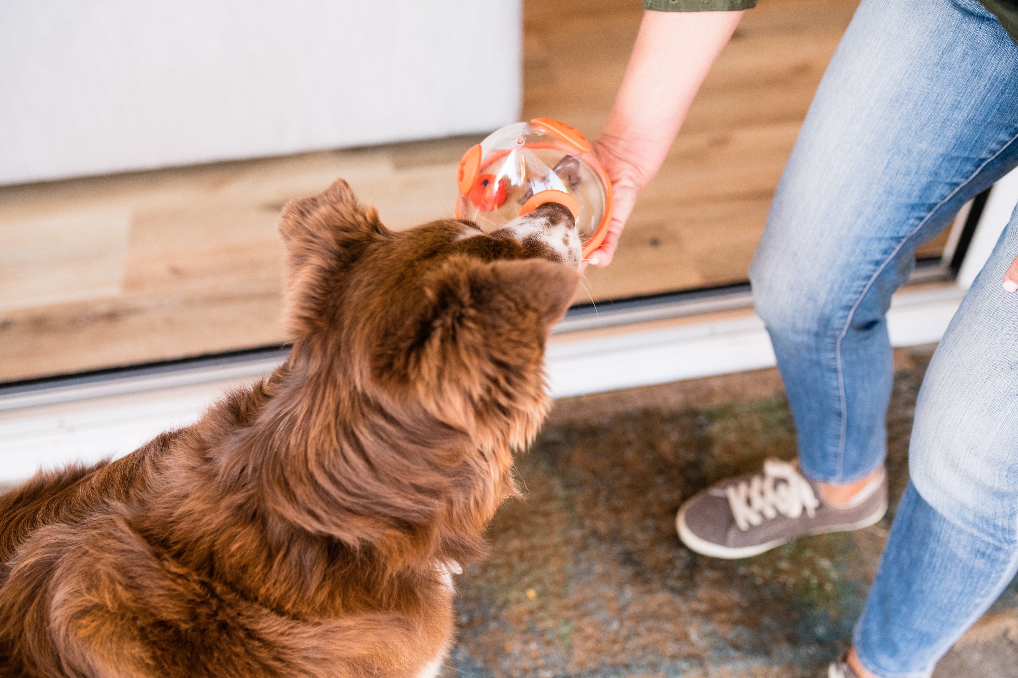 Wobble Ball Dog Toy with Treat Dispenser - Orange | Interactive Pet Play Toy for Dogs - Fun Training & Mental Stimulation for Small & Large Breeds - Indoor & Outdoor Use