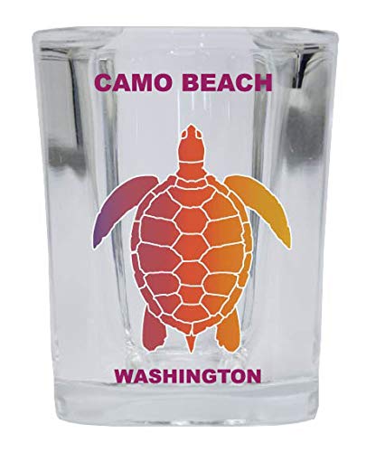 Washington Square Shot Glass - Rainbow Turtle Design with Camo Beach Theme - Perfect for Beach Parties, Gifts, and Collectibles