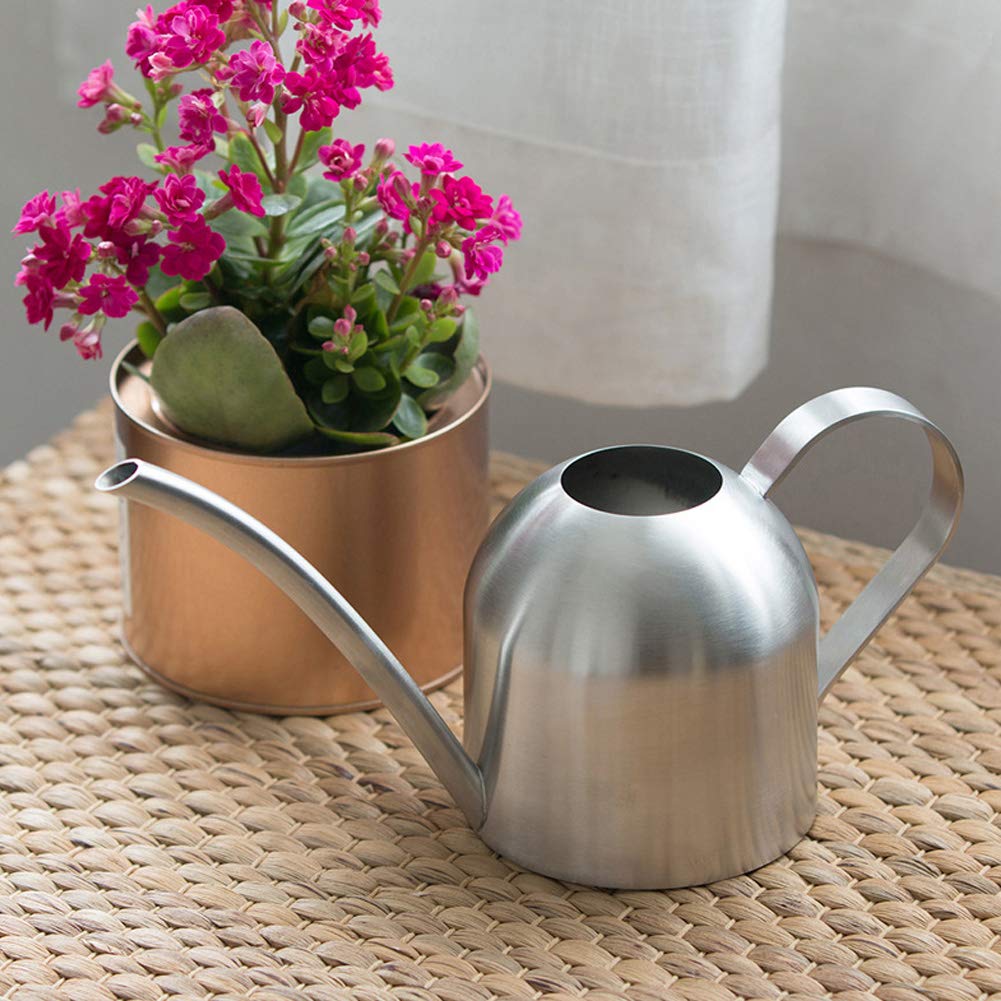 Stainless Steel Flower Watering Pot - 1000ML Smooth Surface Garden Watering Can for Indoor & Outdoor Plants | Perfect for Houseplants, Balcony Gardens & Patio Plant Care