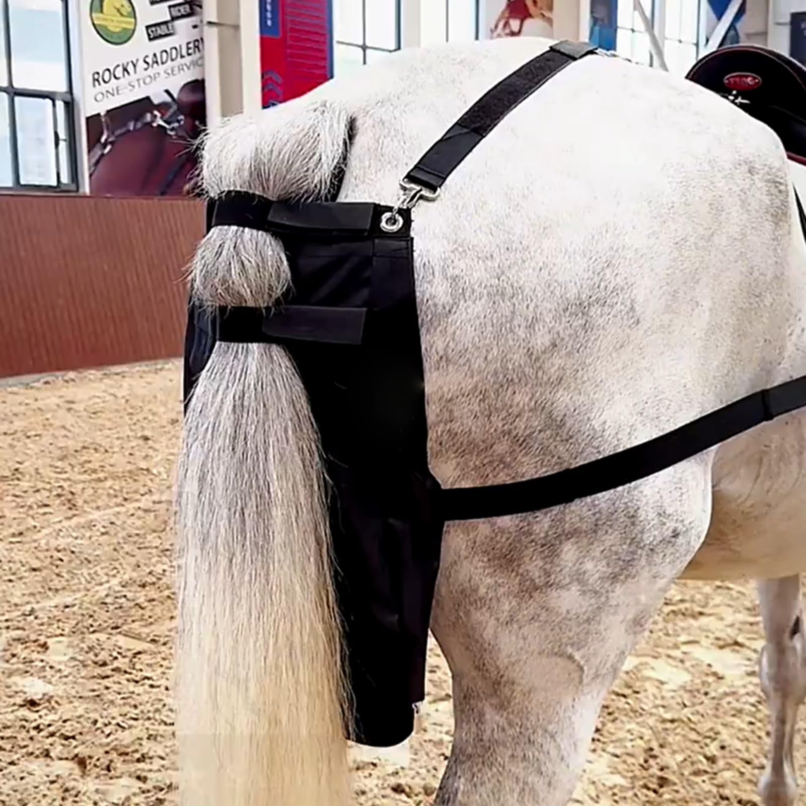 Waterproof Horse Manure Catcher Bag - Small/Medium/Large Size Black Equine Diaper for Riding | Lightweight & Easy Clean Muck Collection | Perfect for Trail Rides, Stable Use & Horse Shows (Size M)