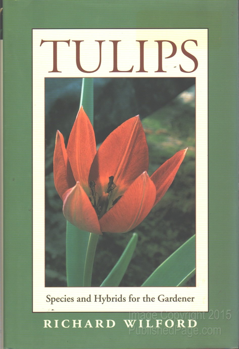 Tulip Bulbs for Sale - Rare Species & Hybrid Varieties for Home Garden Planting | Perfect for Spring Landscaping & Flower Beds