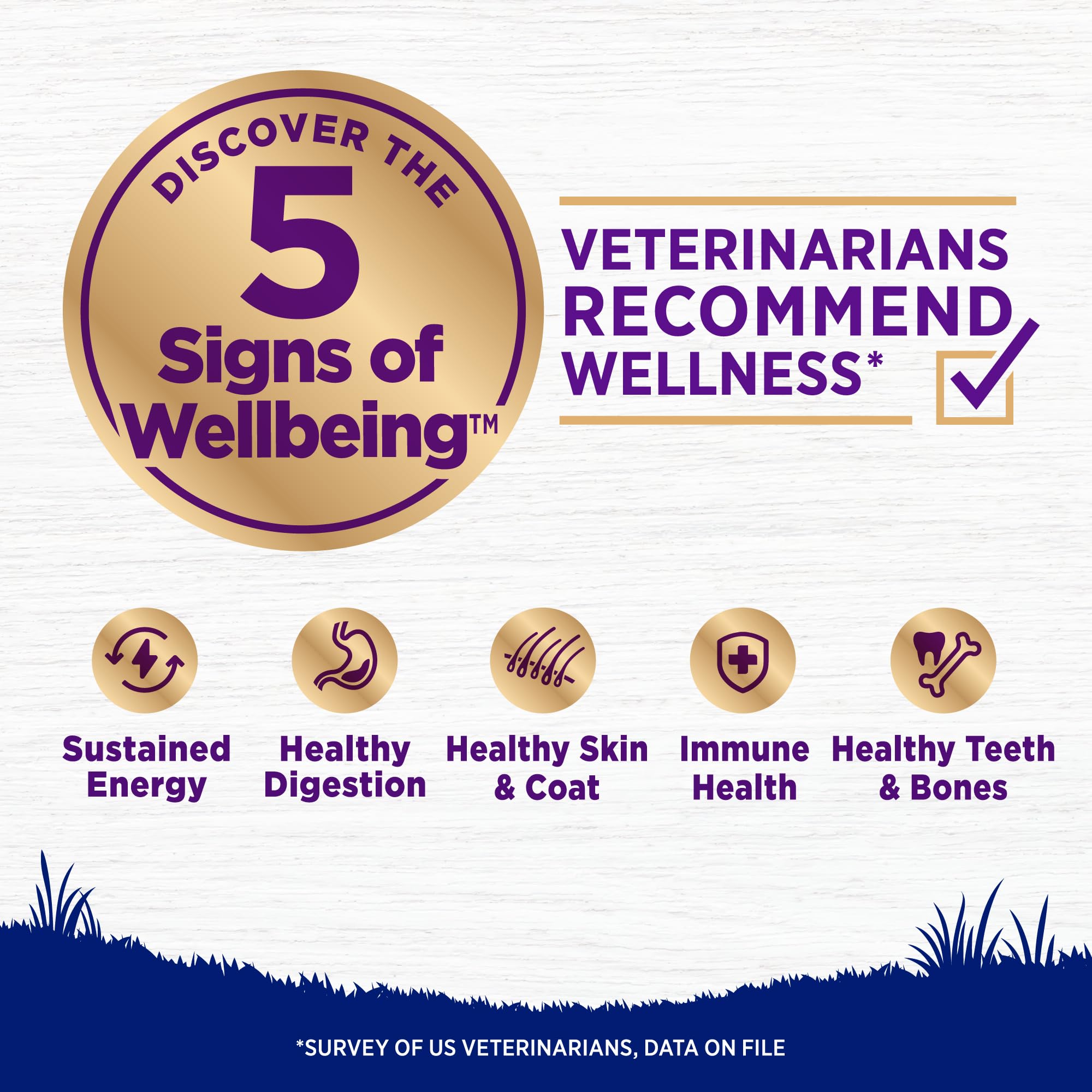 Wellness Complete Health Natural Dry Dog Food for Large Breeds - Chicken & Brown Rice Recipe with Wholesome Grains (30 lb Bag) | High Protein Adult Dog Food for Joint Health & Digestion | Perfect for Active Dogs & Daily Nutrition