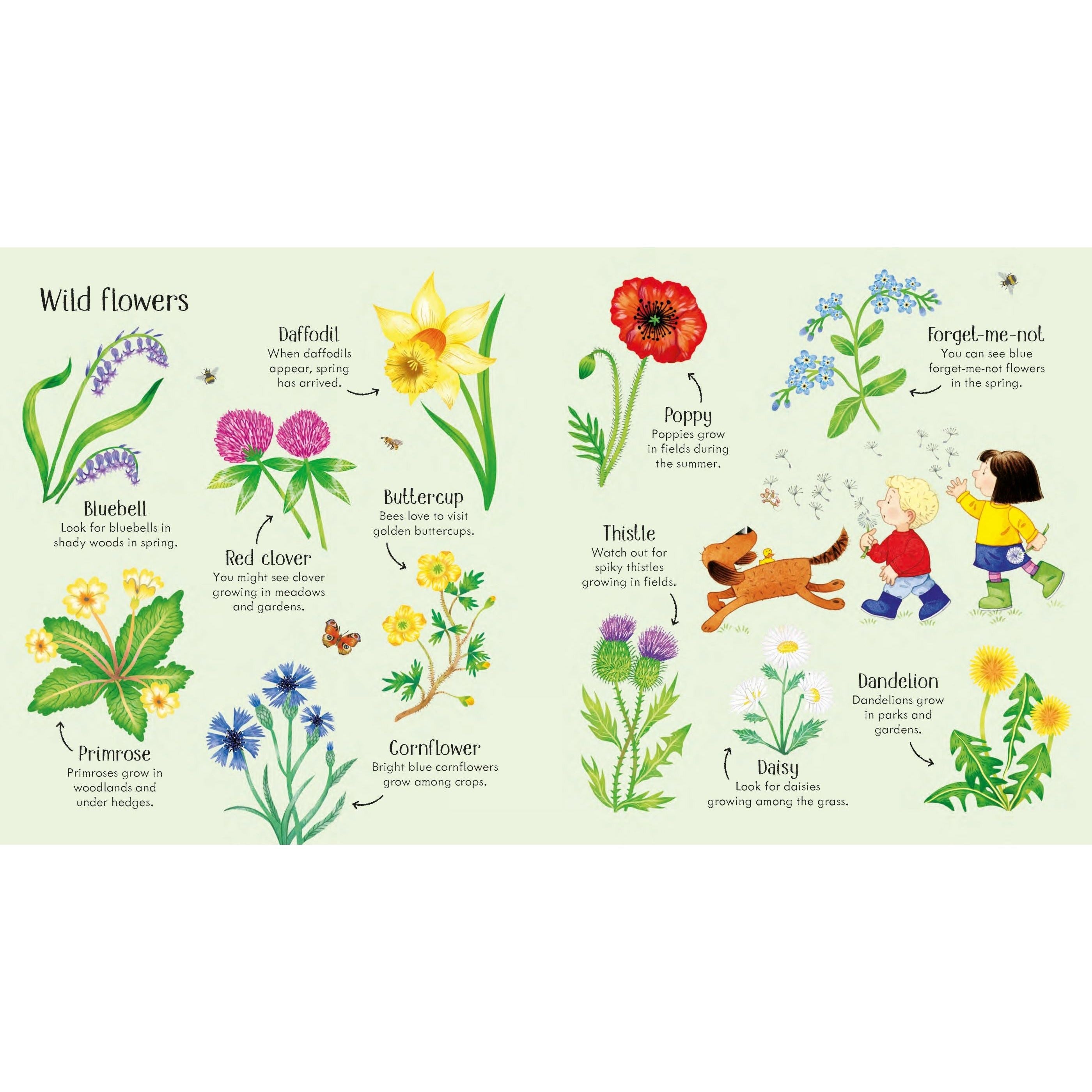 Poppy and Sam's Nature Spotting Book - Kids Outdoor Exploration Activity Guide for Bird Watching & Bug Hunting - Perfect for Camping, Hiking & Backyard Adventures