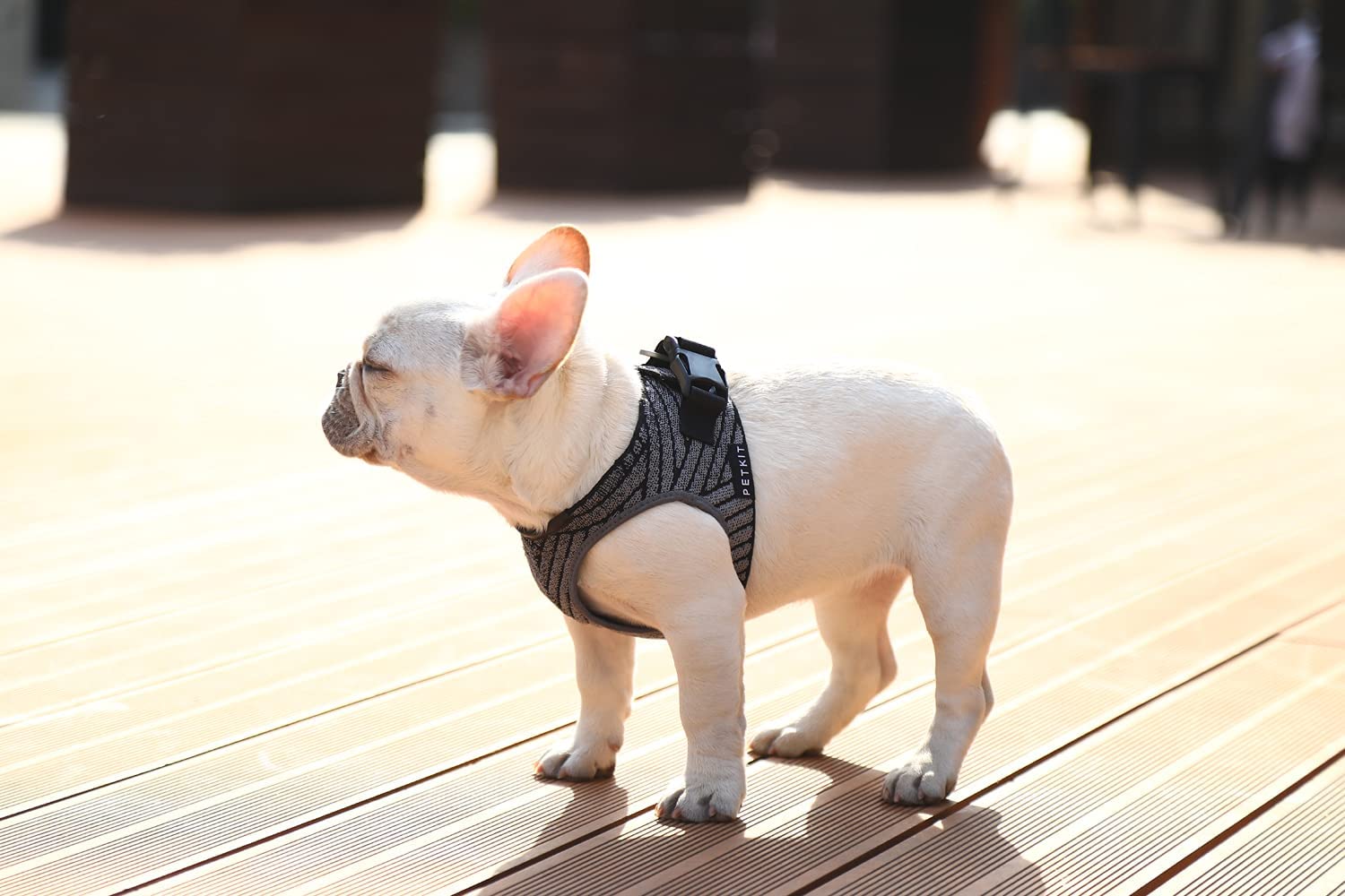 PETKIT Air Fly Dog Harness XS - Lightweight & Breathable No-Pull Vest for Small Dogs - Perfect for Walking, Hiking & Outdoor Adventures