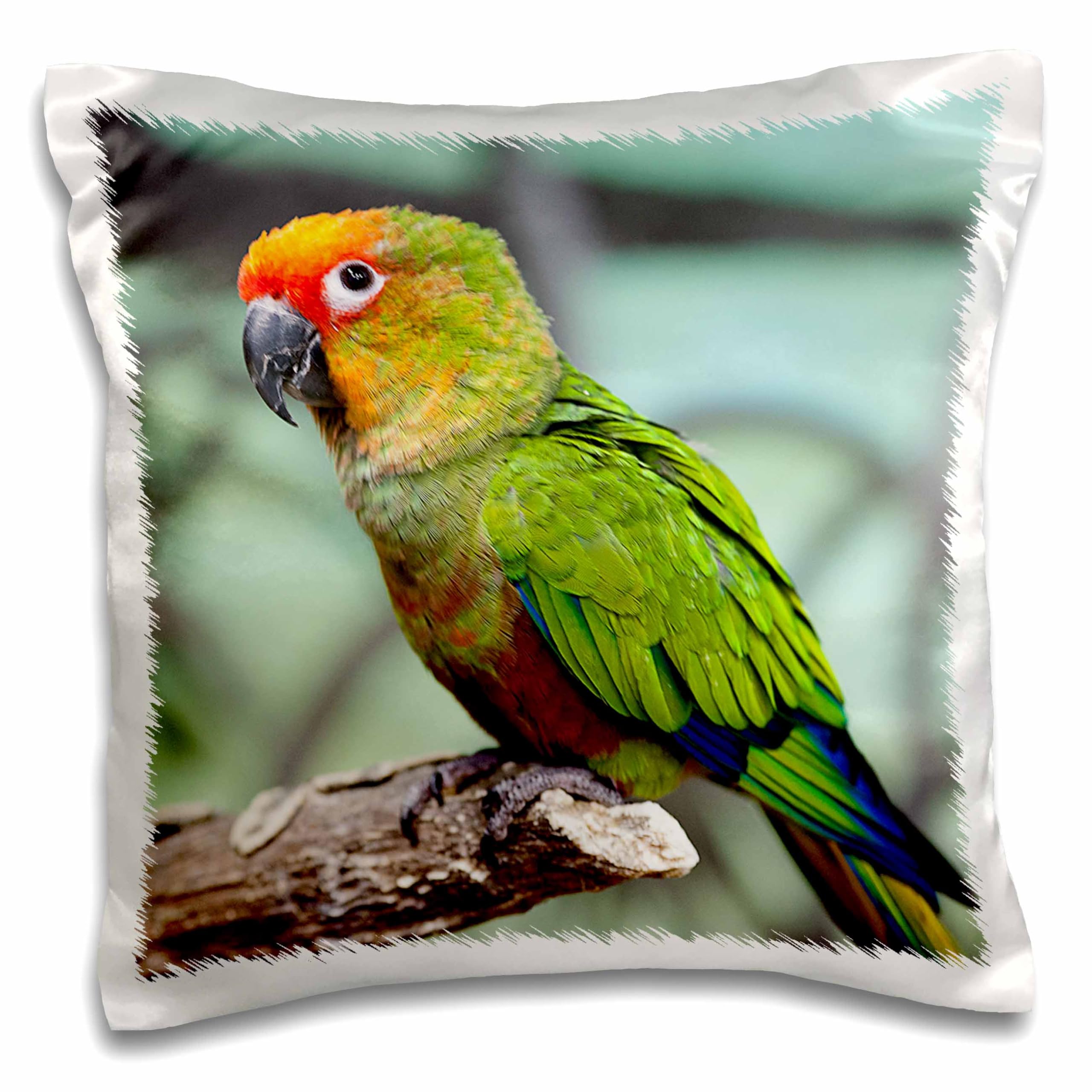 PARROT SITTING ON A PERCH