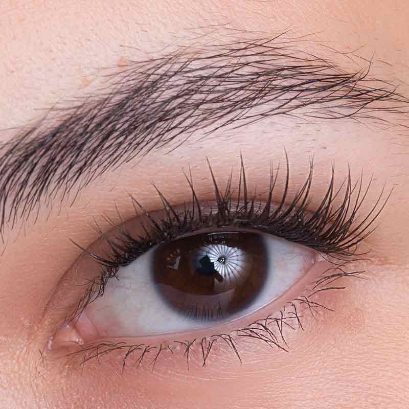 ANSR Professional At-Home Eyelash Extension Kit - DIY False Lashes for Natural & Glamorous Look - Perfect for Parties, Weddings & Everyday Wear