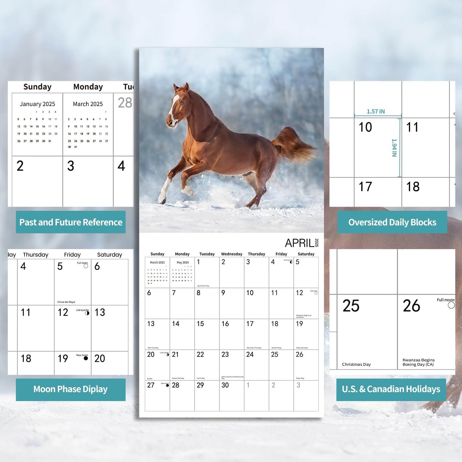 2025 Horse Cattle Monthly Wall Calendar - 12
