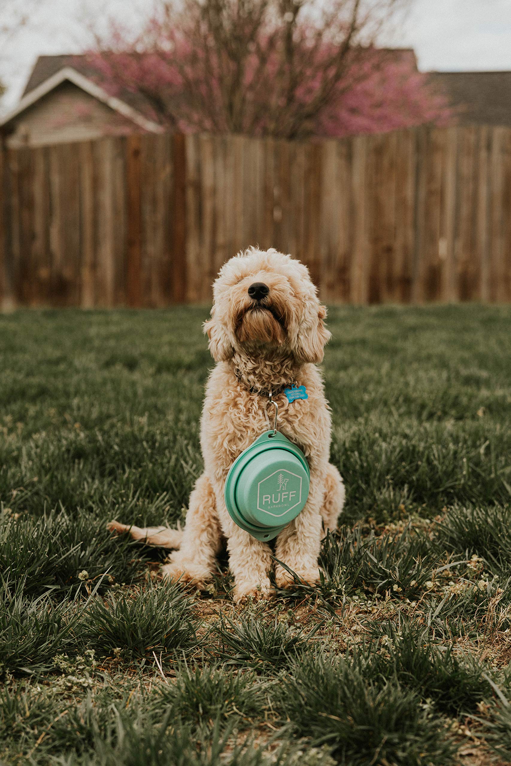 Premium Collapsible Dog Bowl - 800ml Large Travel Bowl for Dogs, Platinum-Cured Food Grade Silicone, No Plastic Rim, Safe & Durable (Tiffany Blue) - Perfect for Hiking, Camping, Travel & Outdoor Adventures with Your Pet