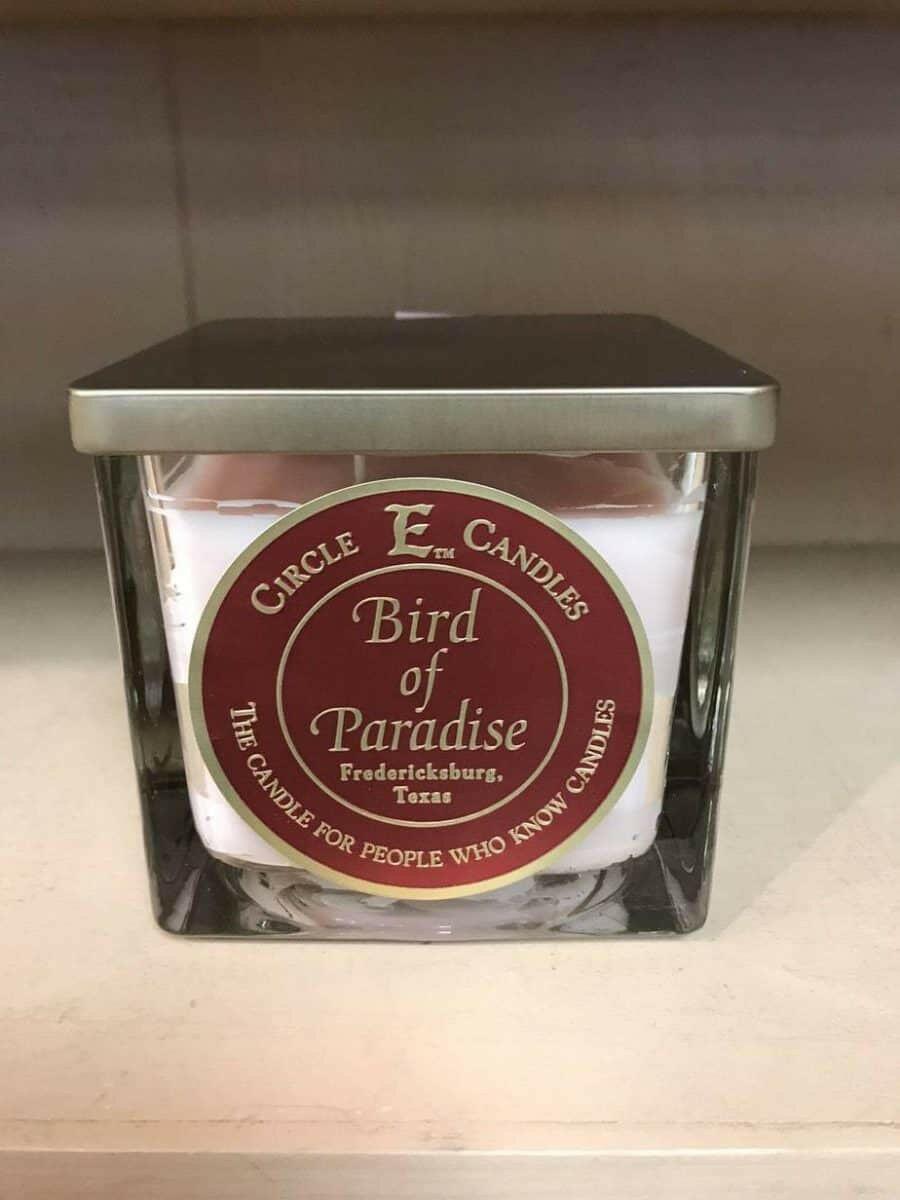 Circle E Bird of Paradise 22oz Scented Candle - Tropical Home Decor, Aromatherapy Gift for Relaxation & Spa Atmosphere