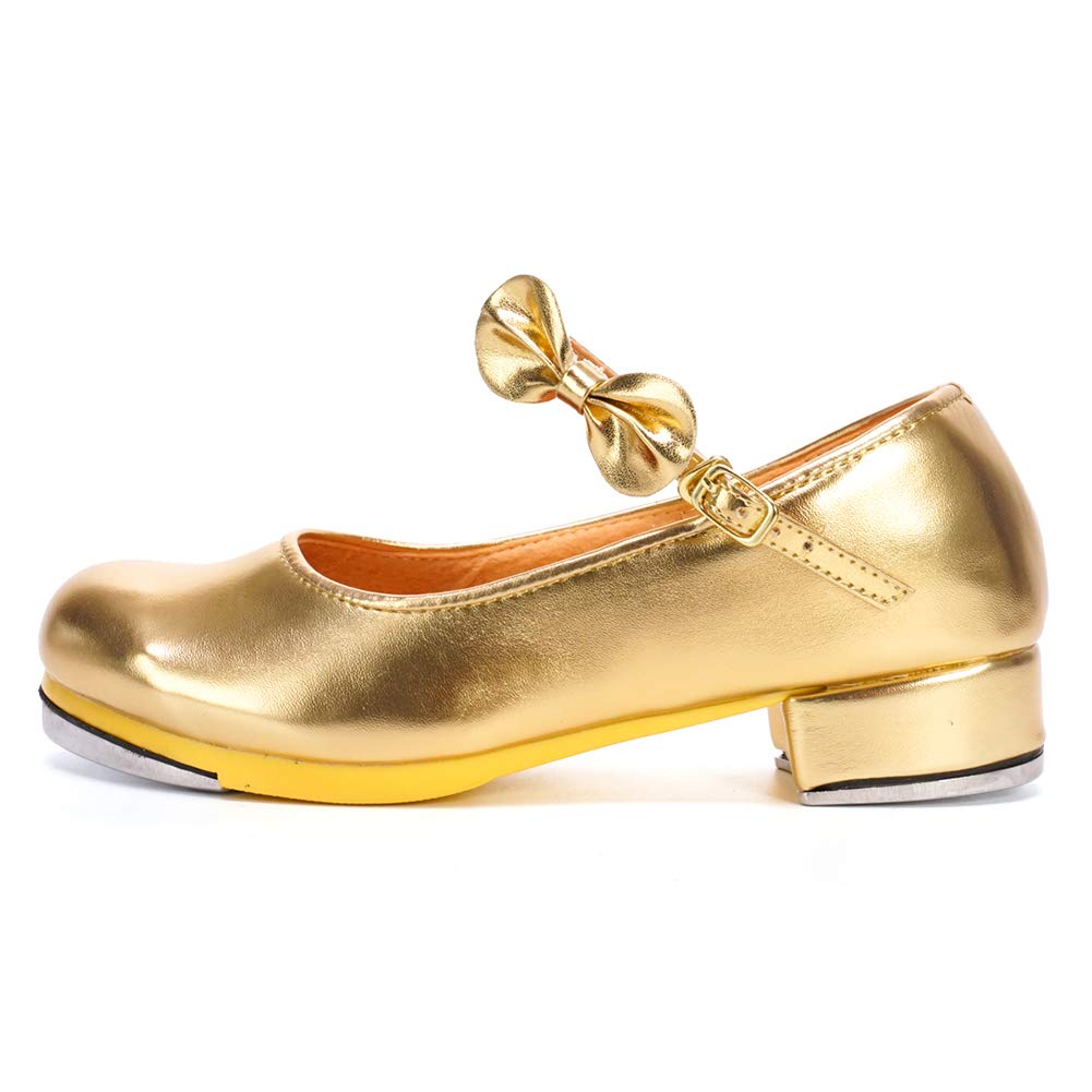HROYL Kids Tap Shoes for Boys & Girls - TL208/258 for Dance & Performance