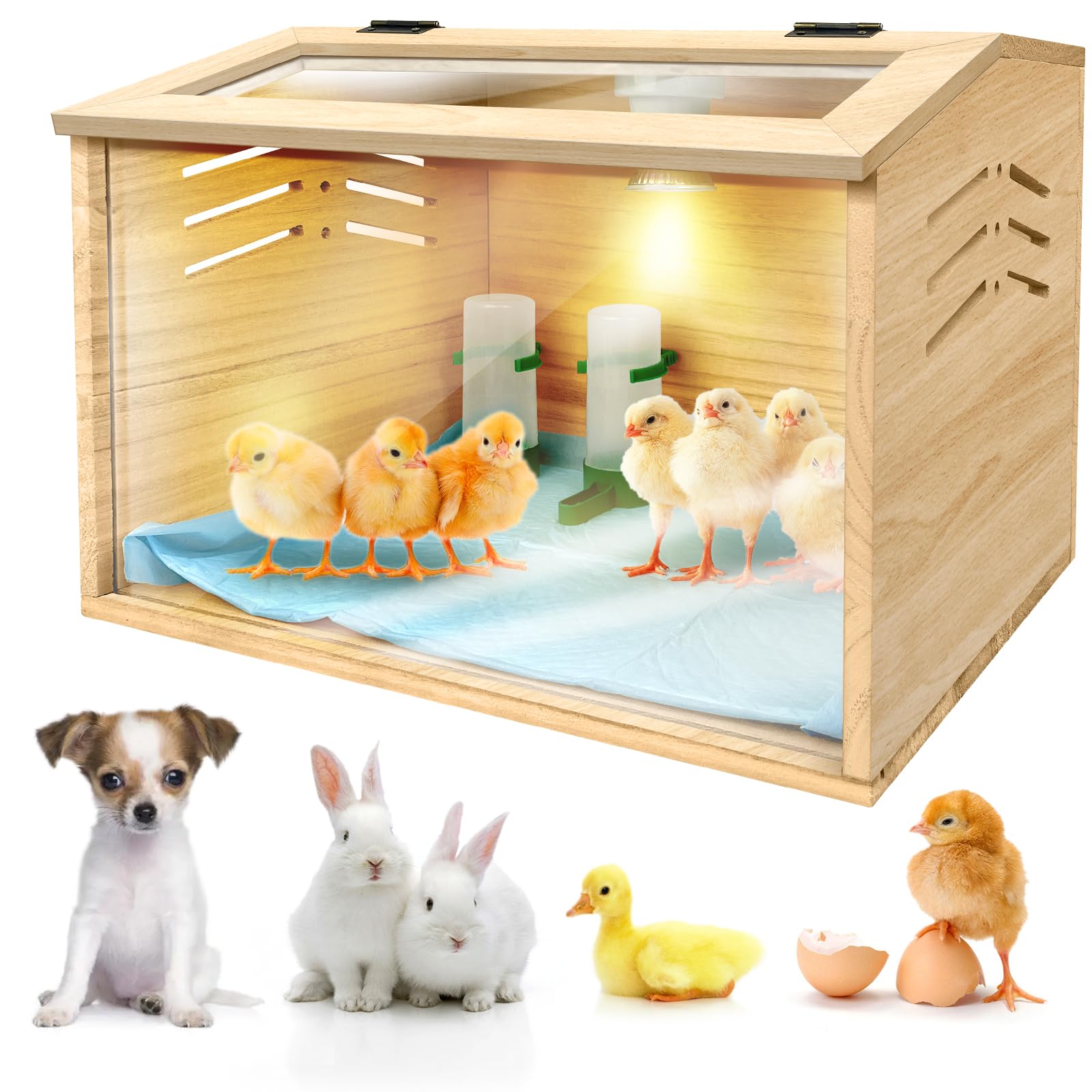 Premium Chicken Brooder Box for Baby Chicks & Quails - 15.7