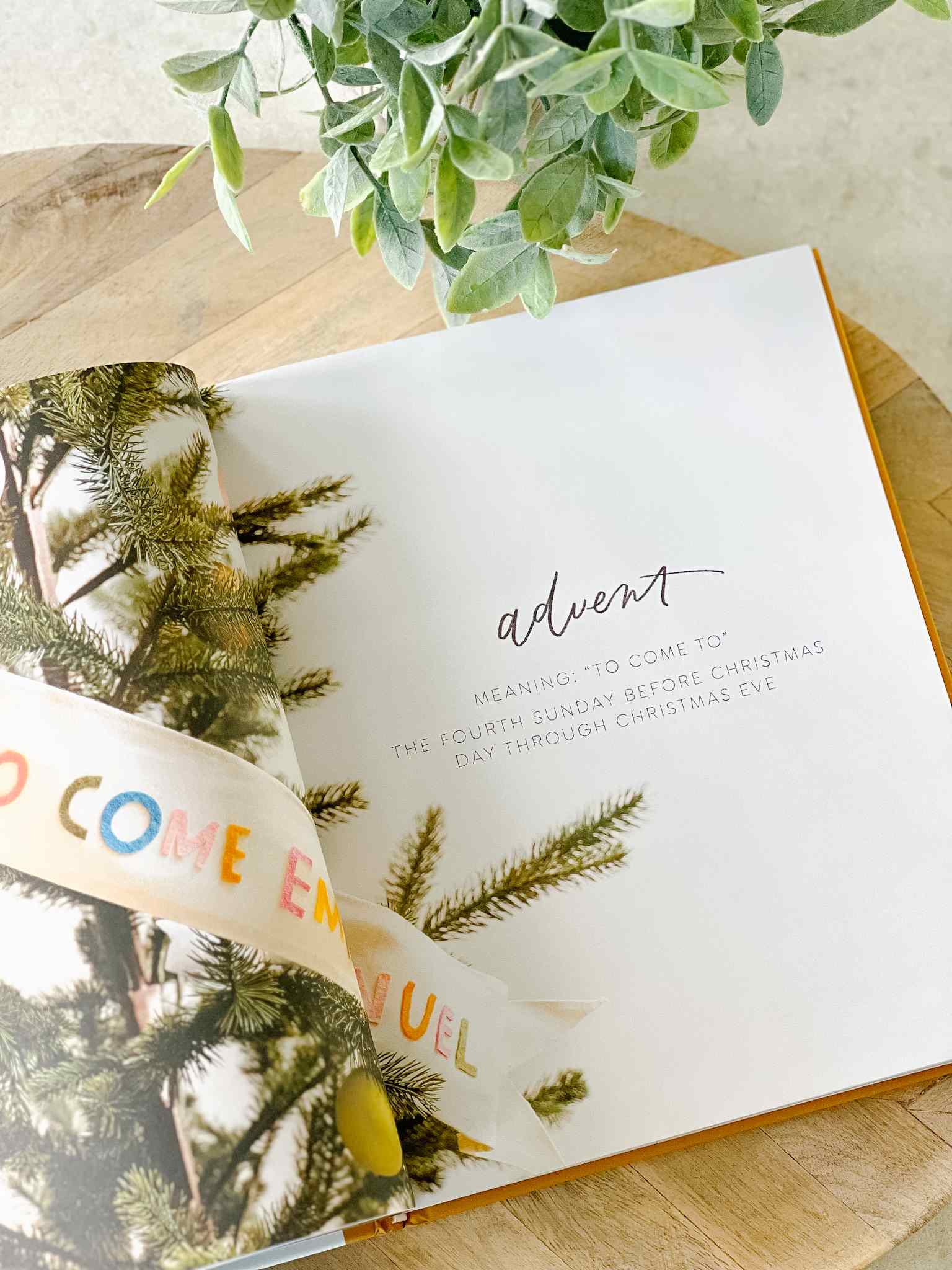 Living the Seasons Book - Inspiring Guide to Seasonal Living & Mindfulness | Perfect for Home Decor, Gifts & Self-Care Routines