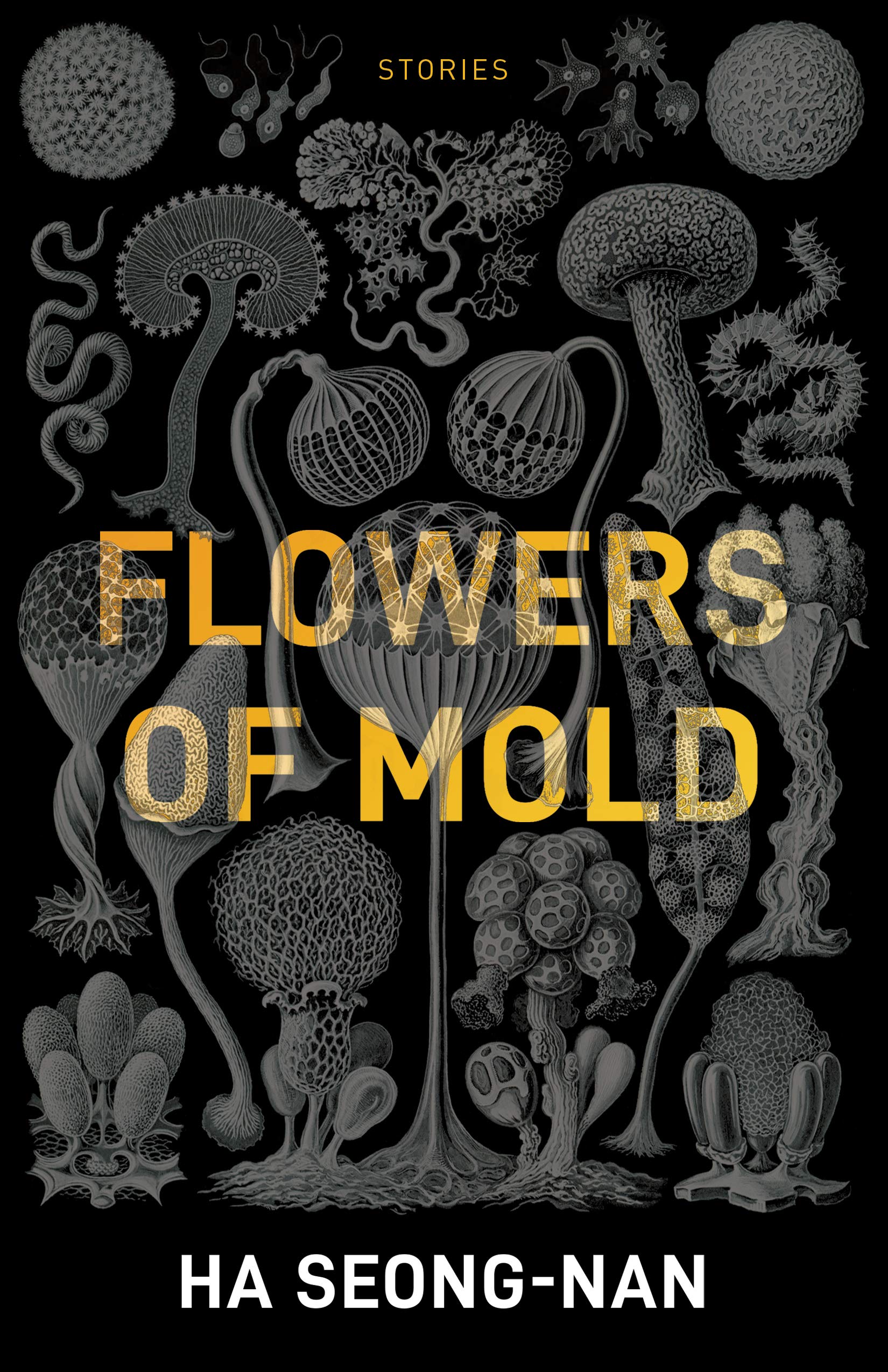 Flowers of Mold & Other Stories - A Collection of Dark Fiction Tales for Horror Book Lovers | Perfect for Halloween Reading & Gift Ideas